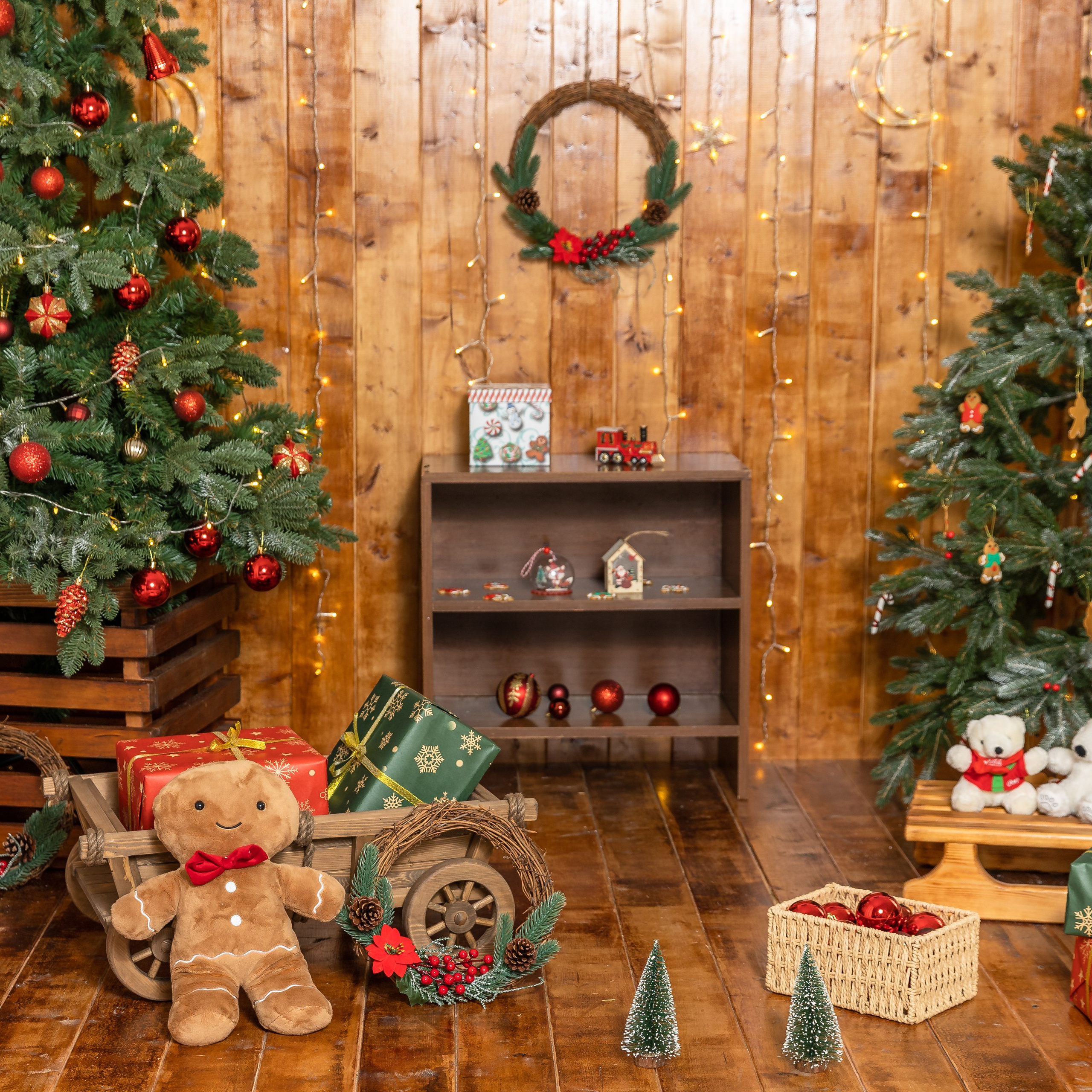 Аренда студии. Детский семейный фотограф в г. Находка Ольга Коваленко, фотостудия Memories