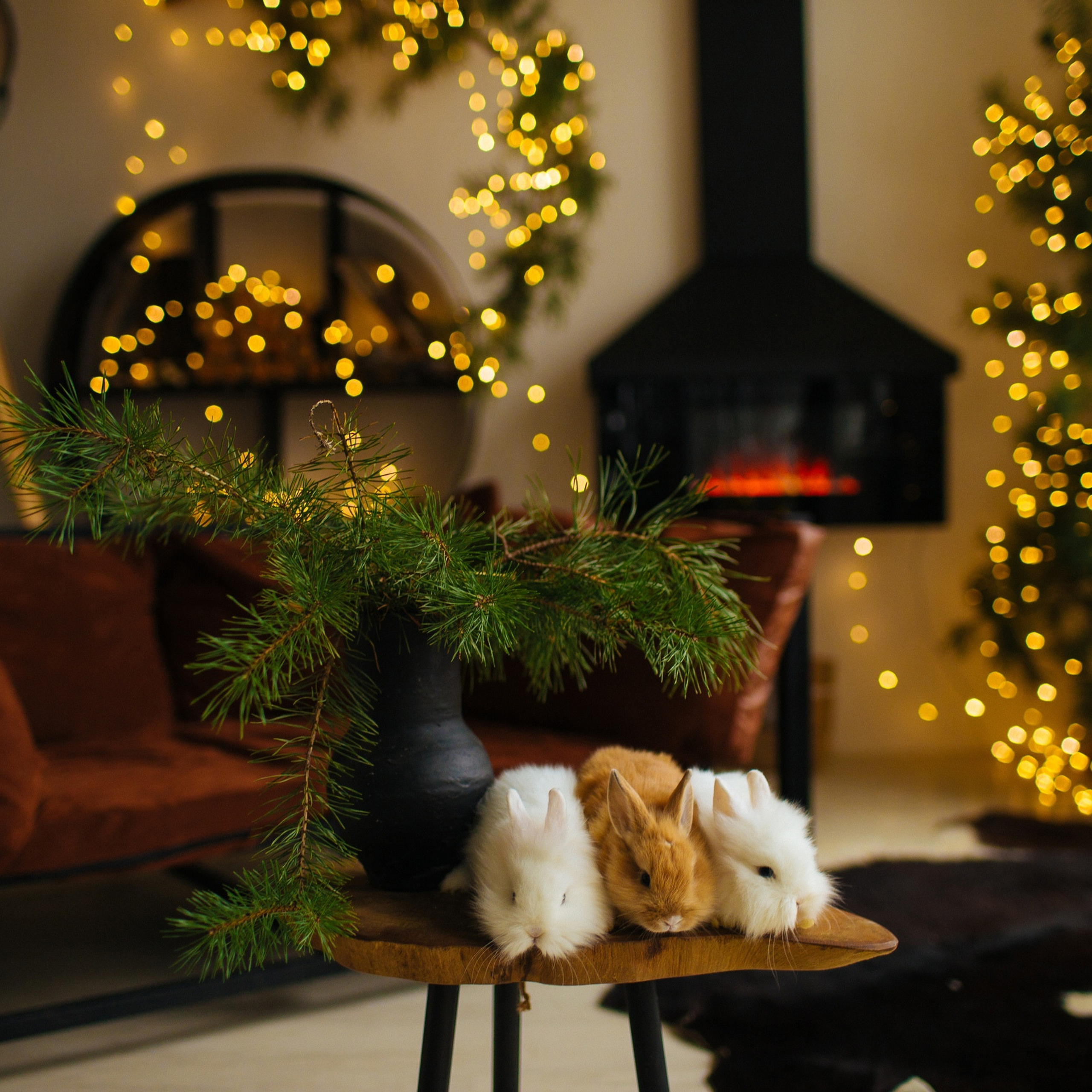 Фотостудии в Нижнем Новгороде. Семейный фотограф в Нижнем Новгороде