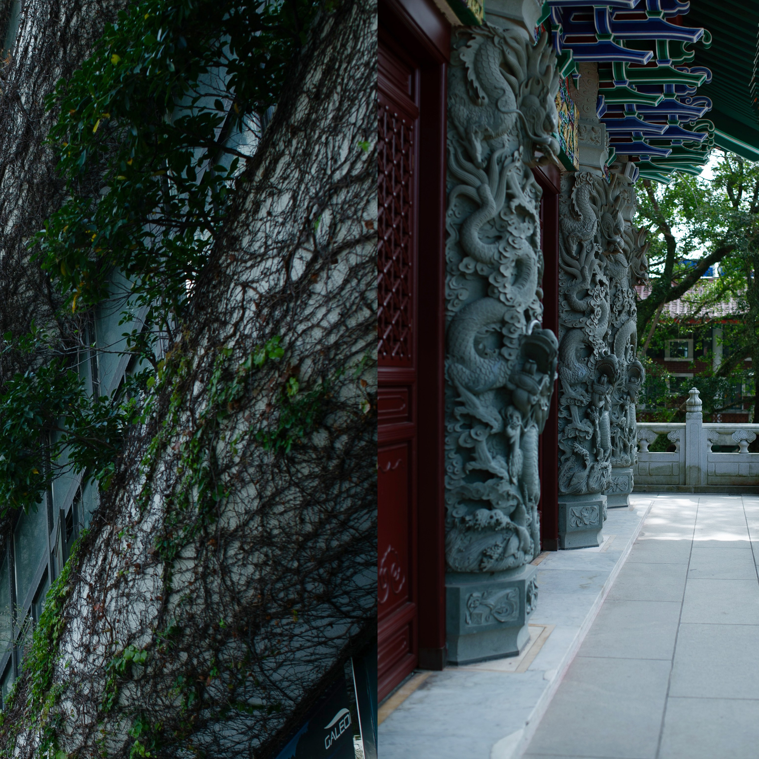 Гонконг'24. Фотограф-портретист в Москве