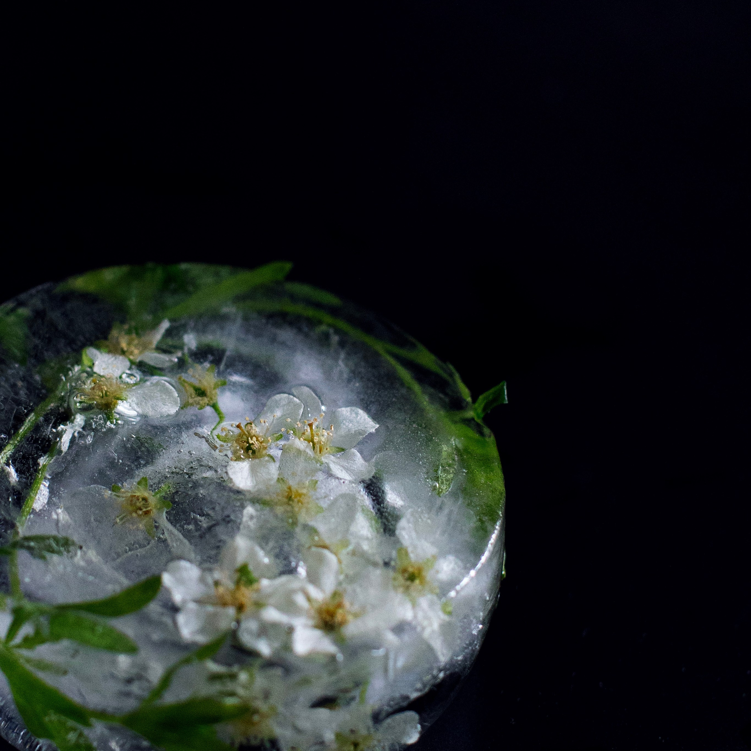 Предметы и цвет. Фотограф-портретист в Москве