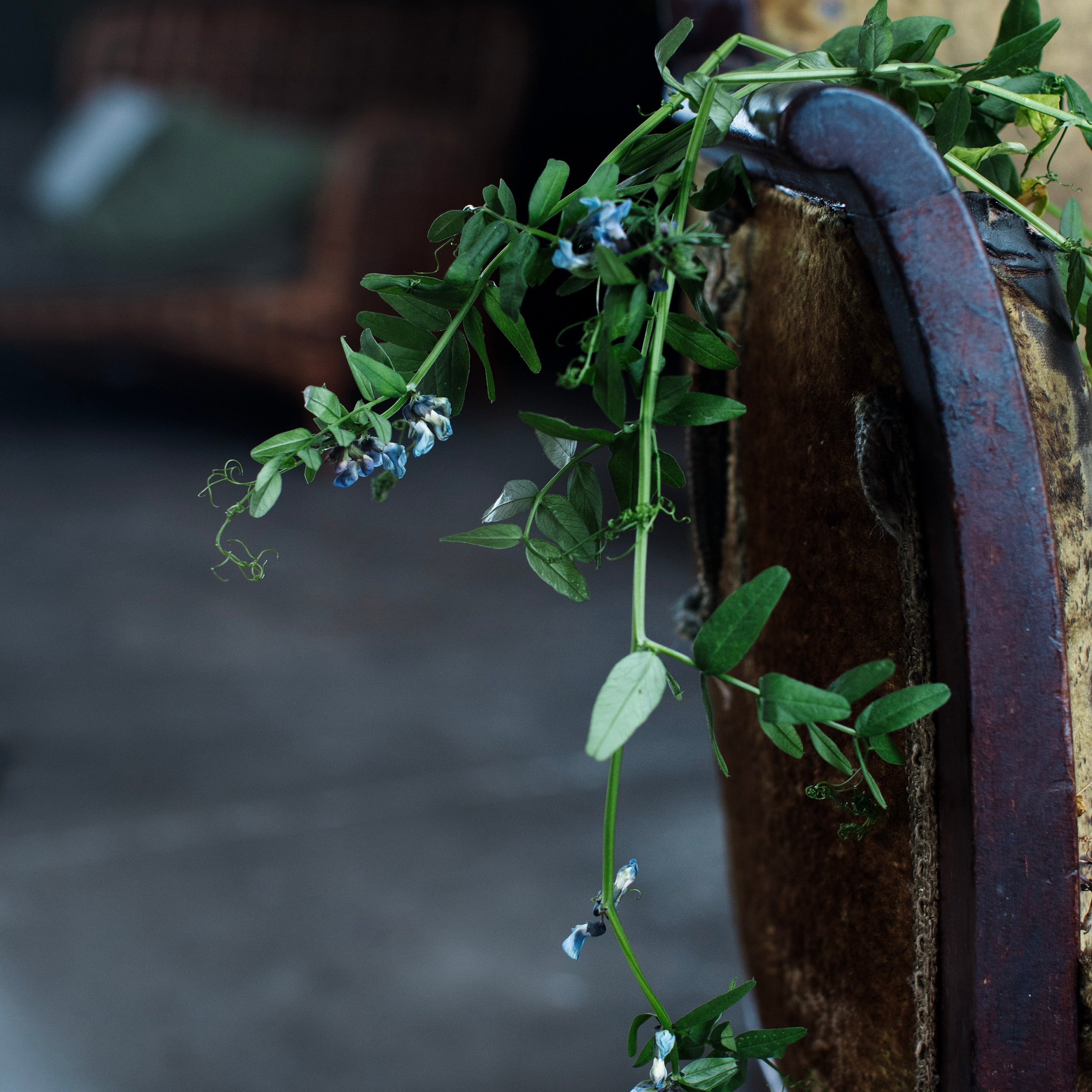Предметы и цвет. Фотограф-портретист в Москве