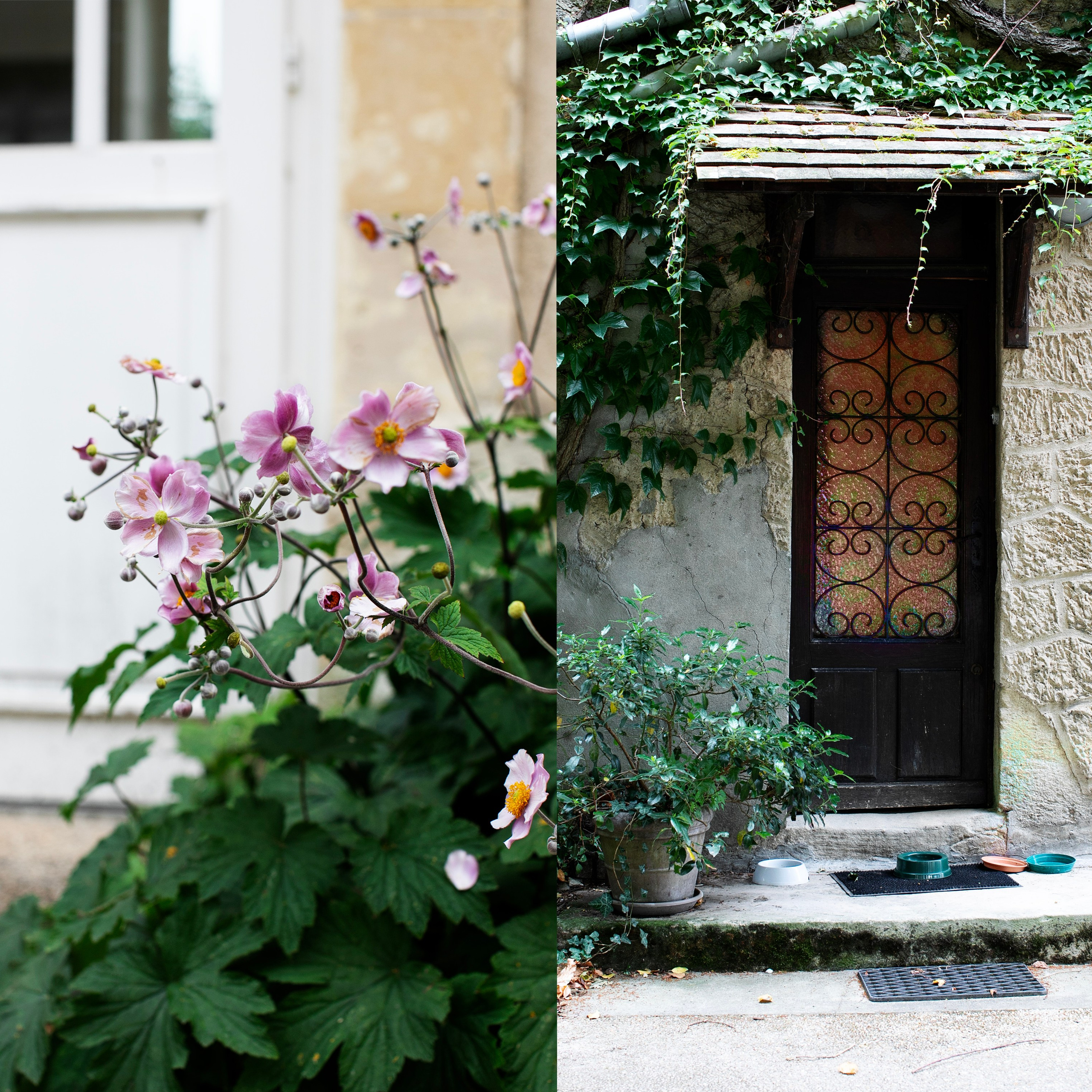Франция'24: Париж-Жеверни-Руан-Этрета-Онфлер. Фотограф-портретист в Москве