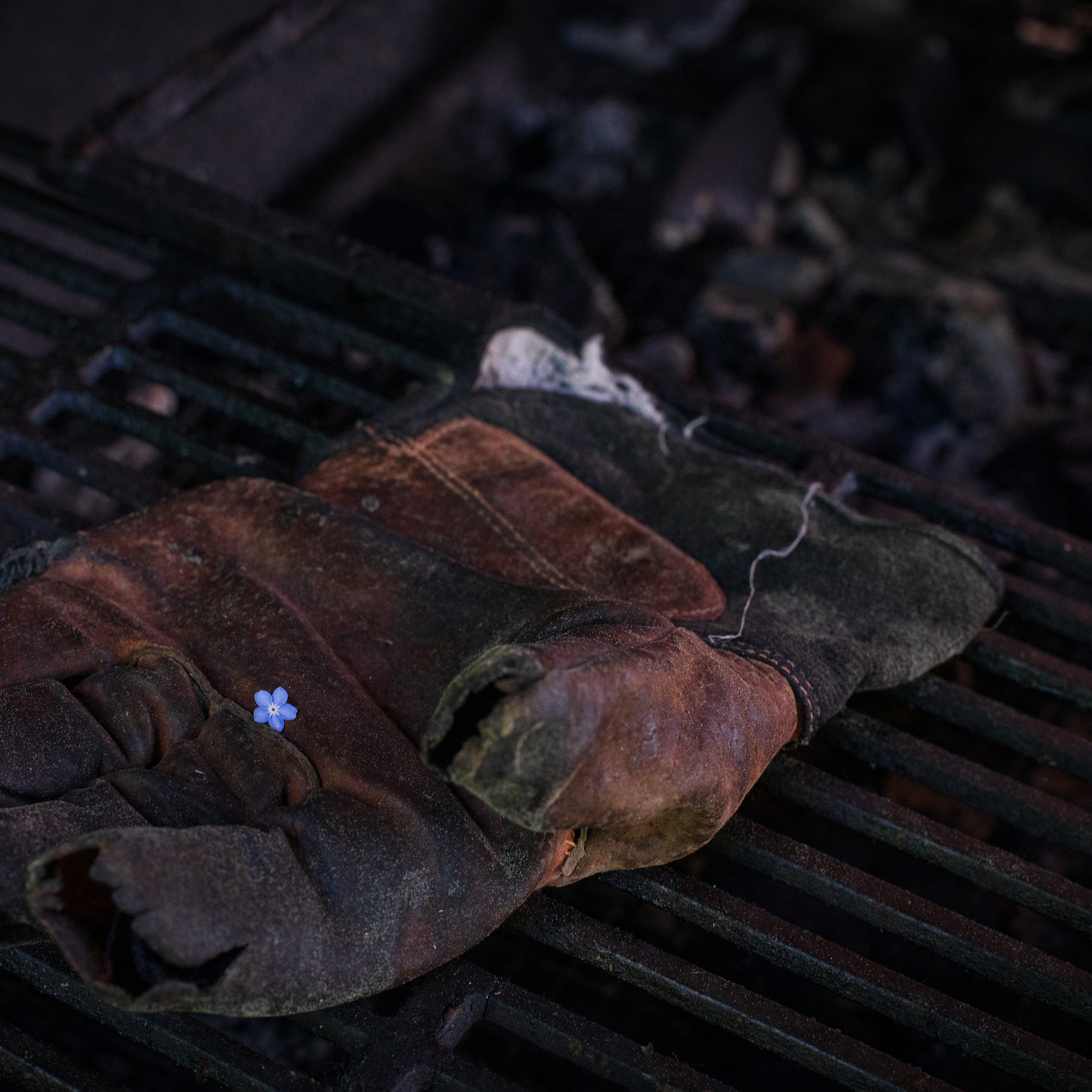 Предметы и цвет. Фотограф-портретист в Москве