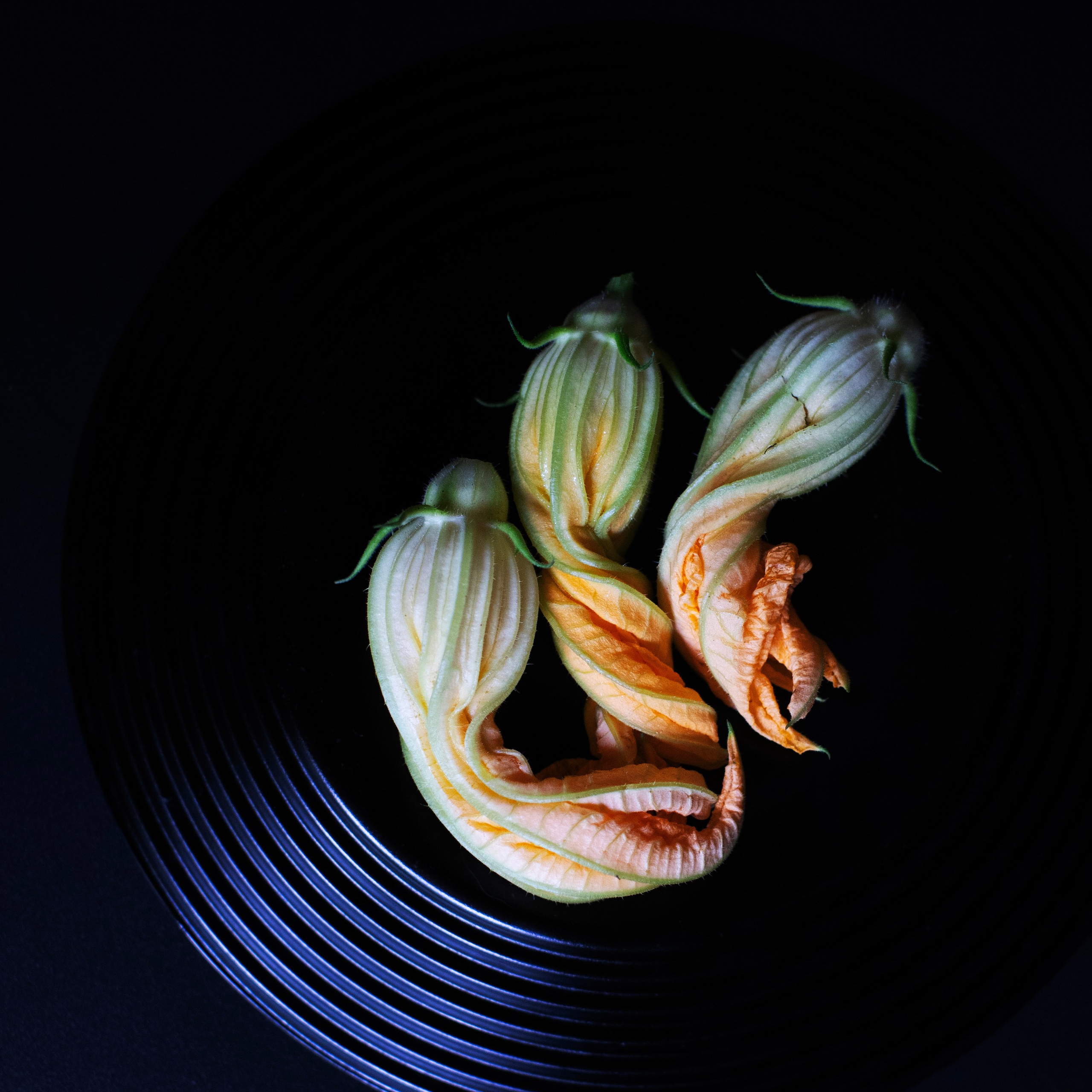 Предметы и цвет. Фотограф-портретист в Москве