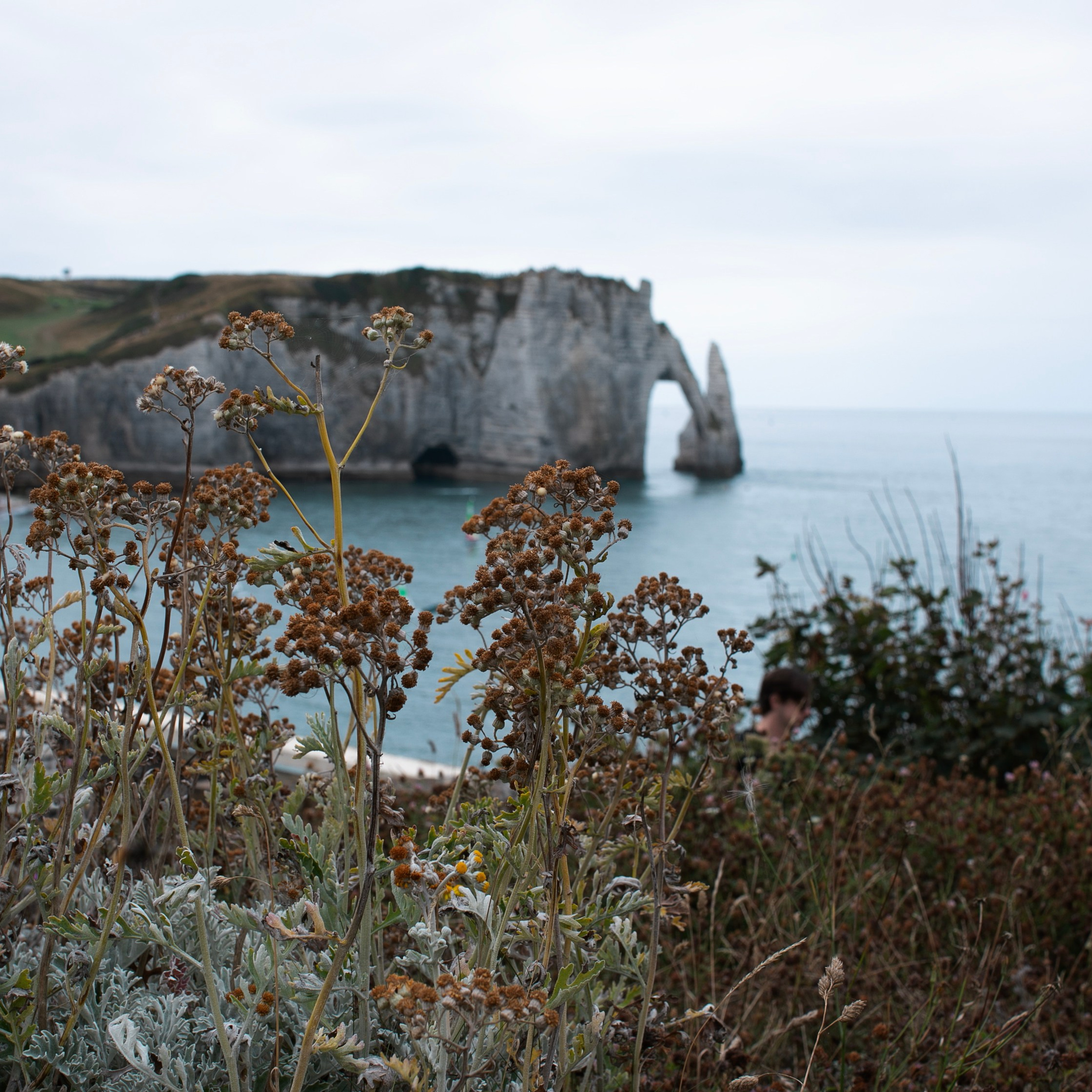 Франция'24: Париж-Жеверни-Руан-Этрета-Онфлер. Фотограф-портретист в Москве