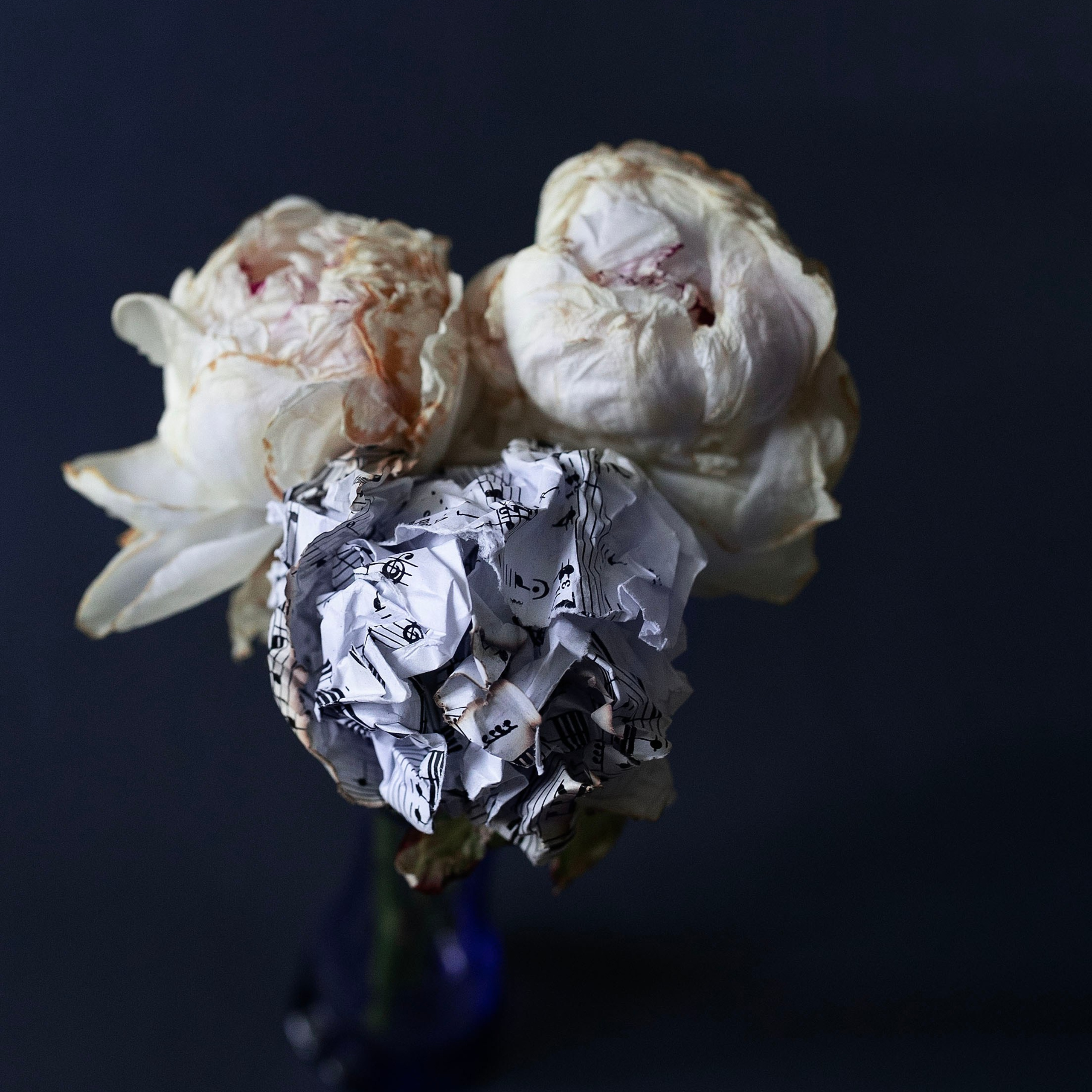 Предметы и цвет. Фотограф-портретист в Москве