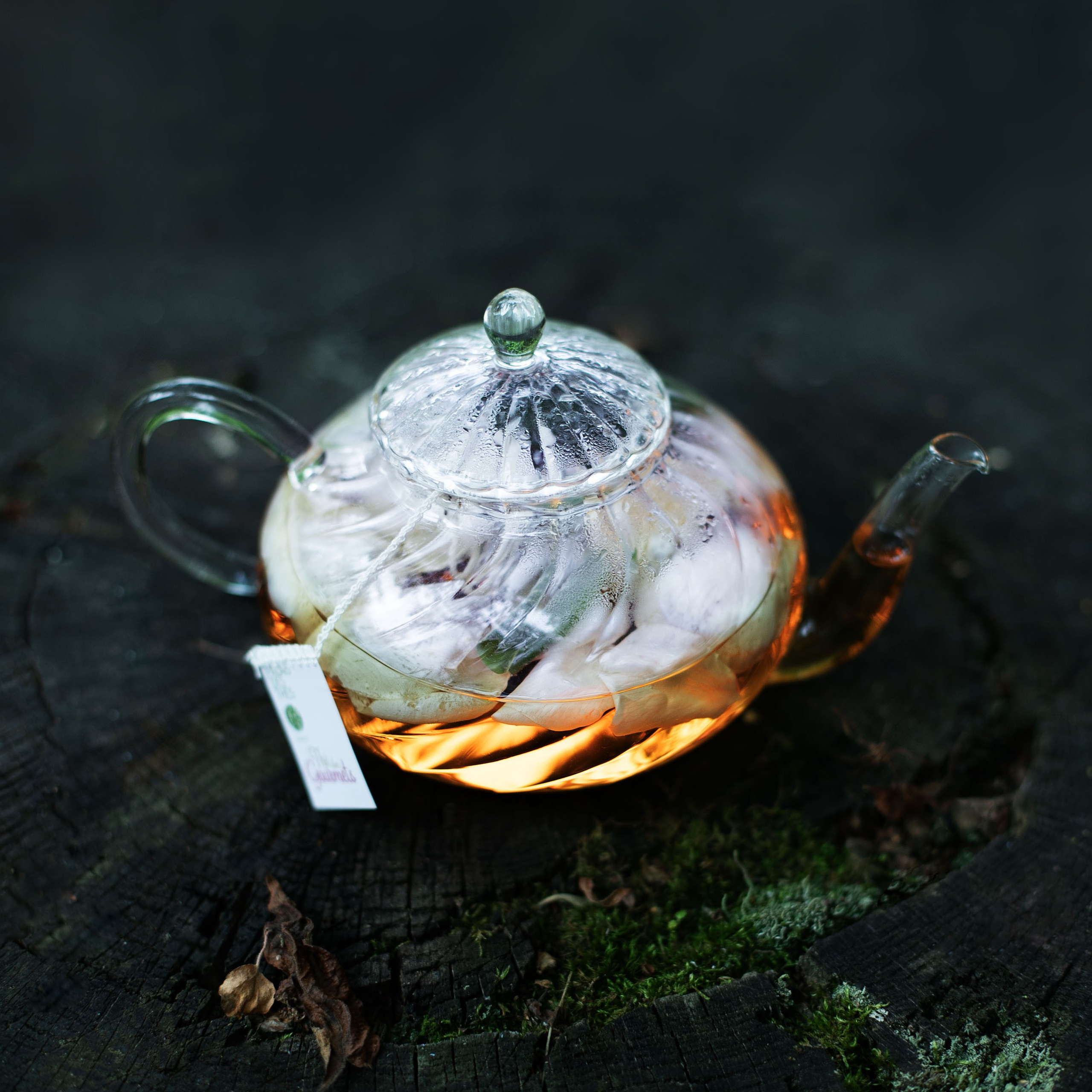 Предметы и цвет. Фотограф-портретист в Москве