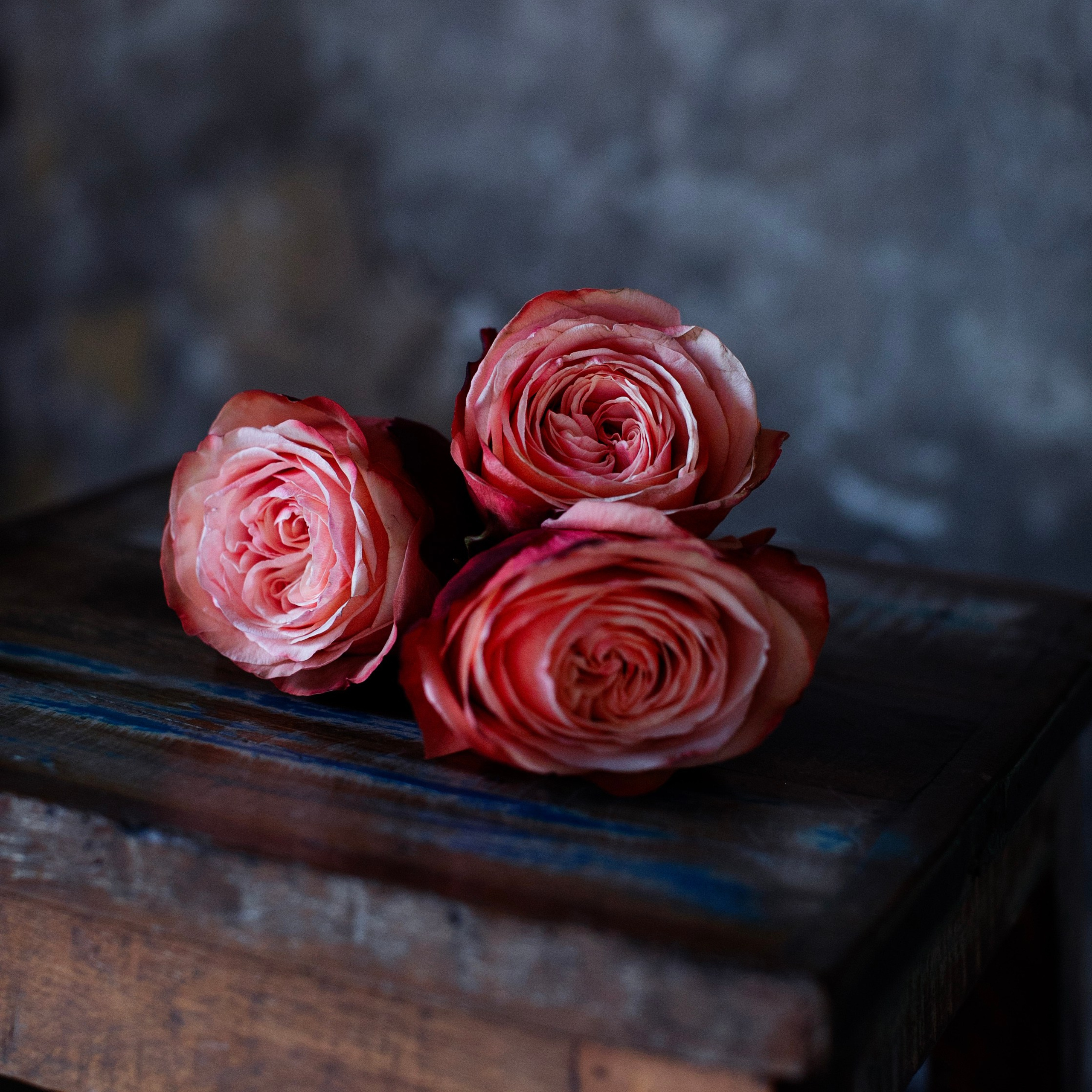 Предметы и цвет. Фотограф-портретист в Москве