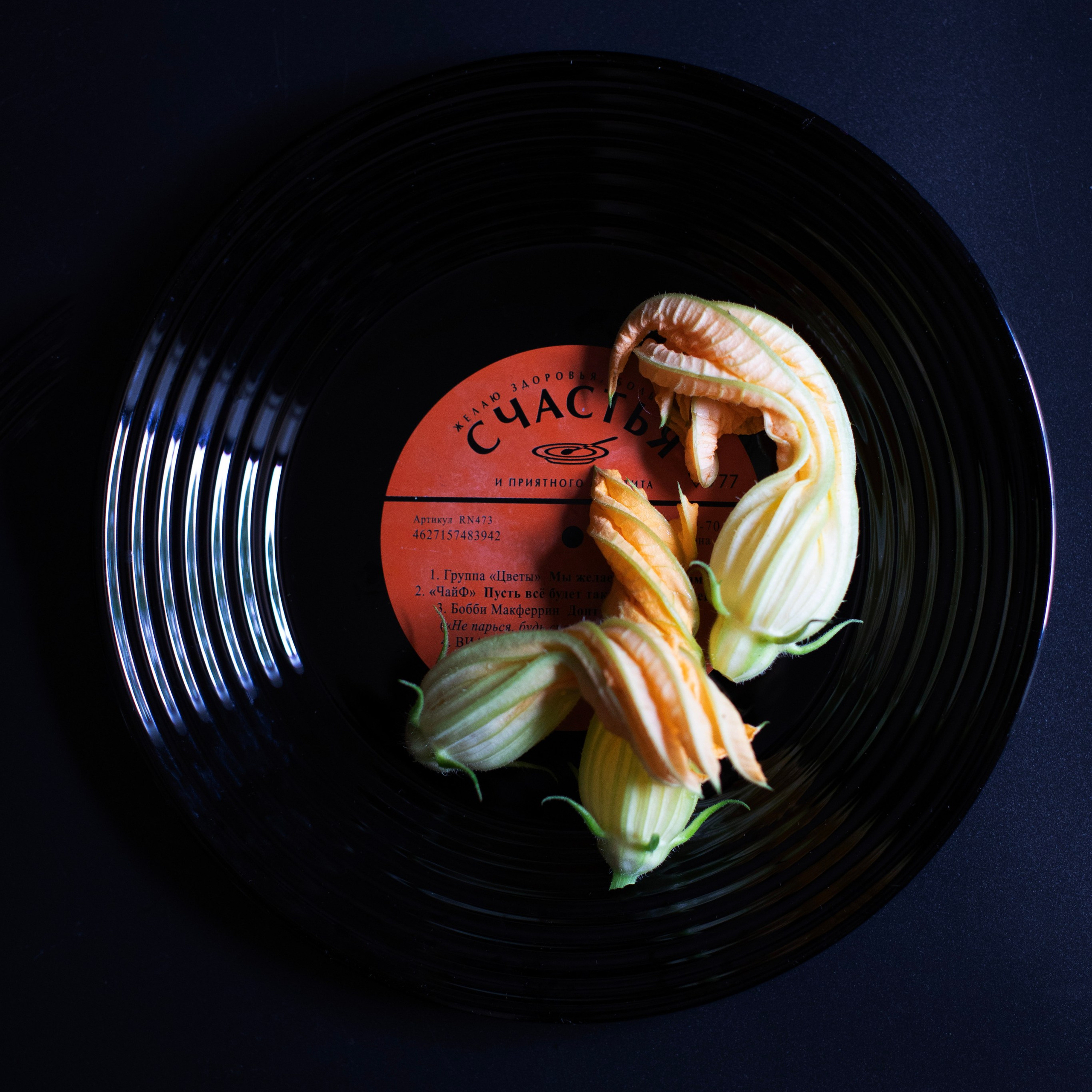 Предметы и цвет. Фотограф-портретист в Москве