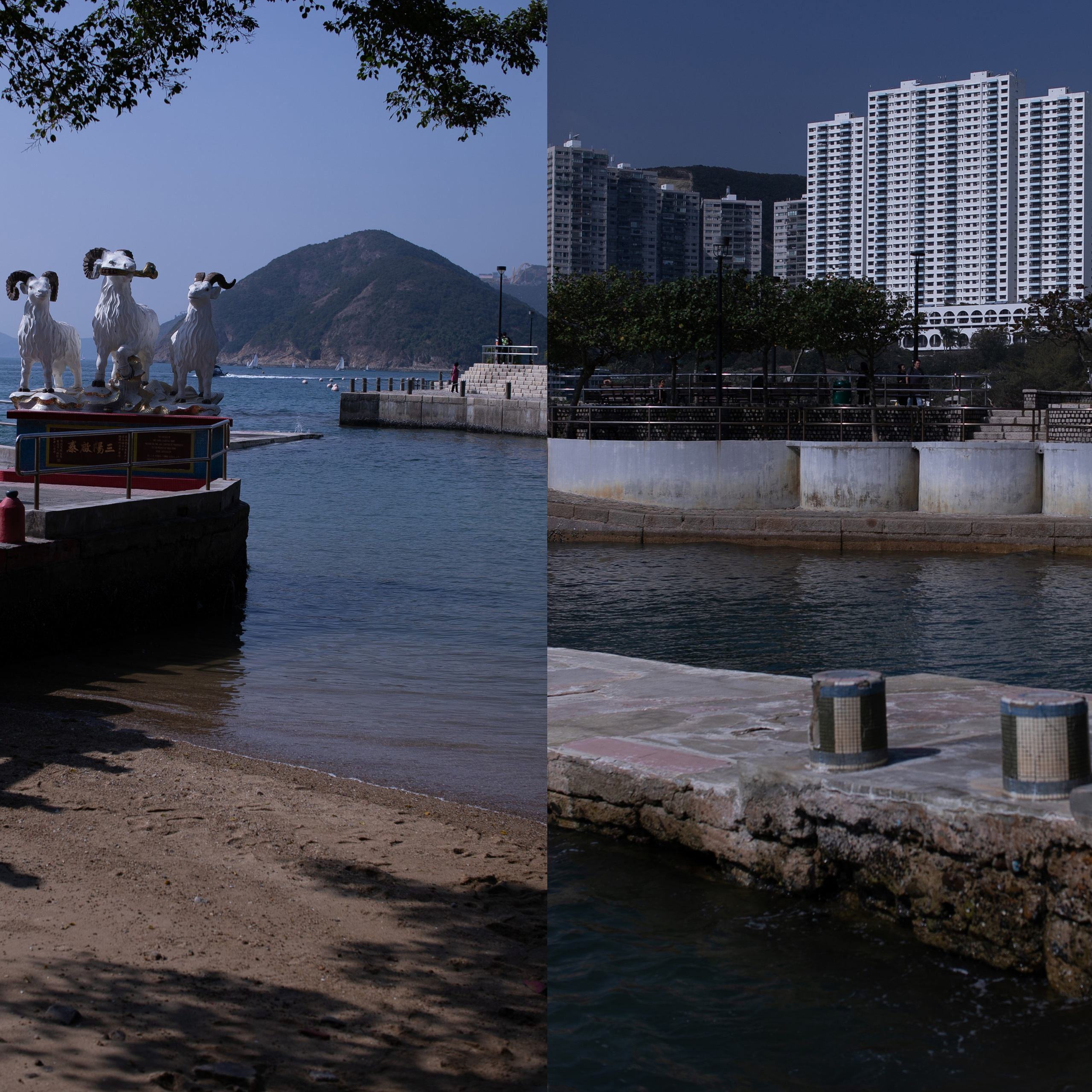 Гонконг'24. Фотограф-портретист в Москве