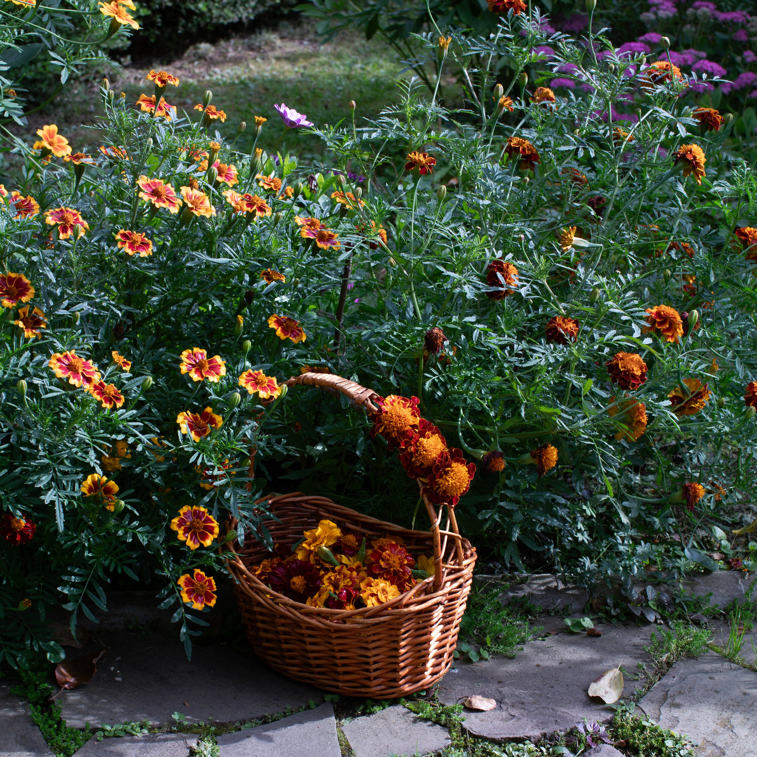 Предметы и цвет. Фотограф-портретист в Москве