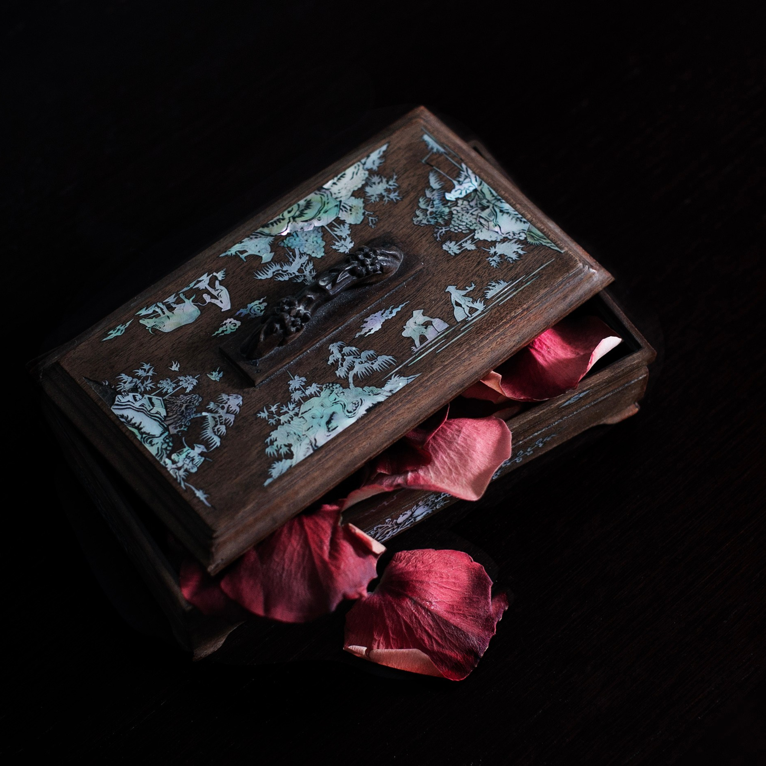 Предметы и цвет. Фотограф-портретист в Москве