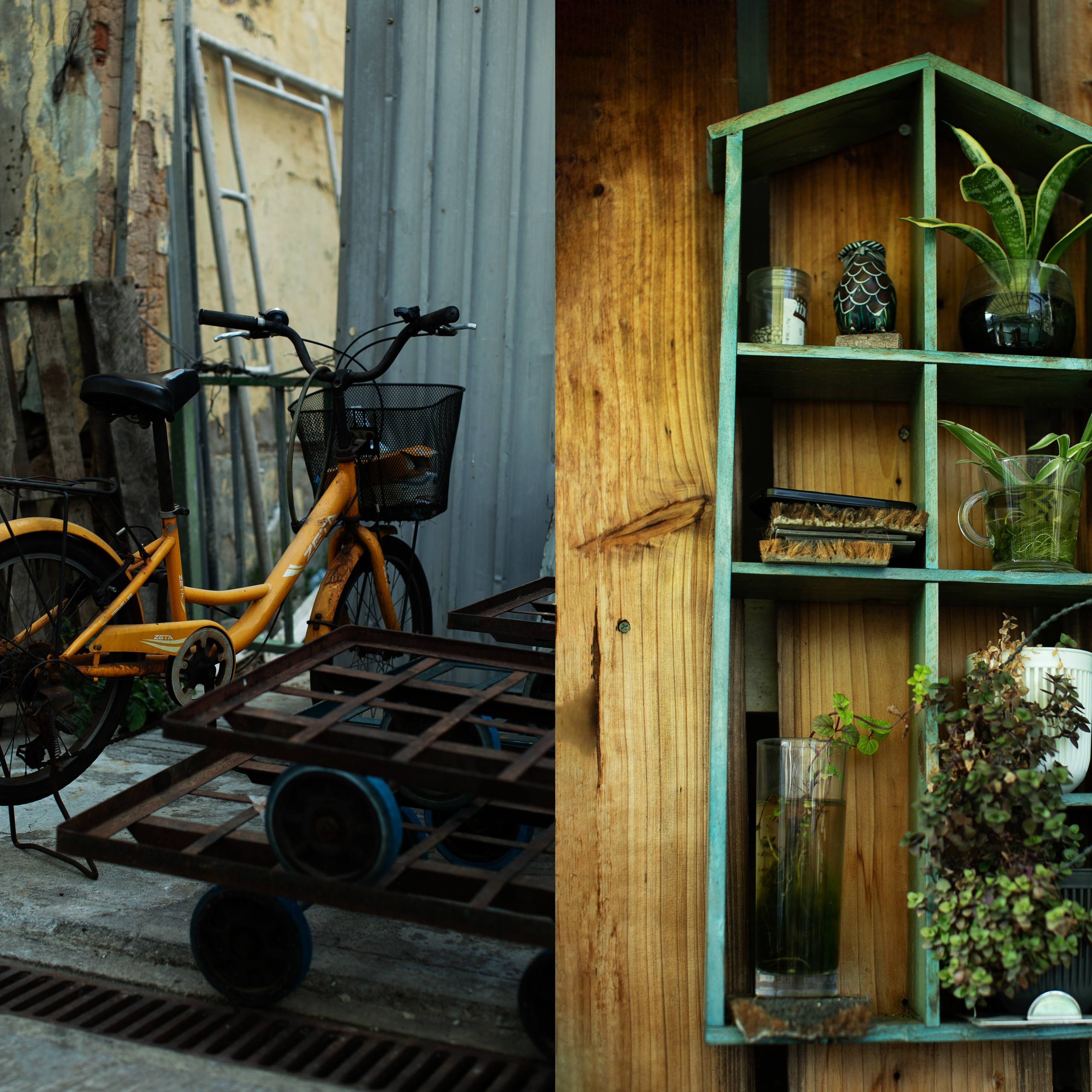 Гонконг'24. Фотограф-портретист в Москве