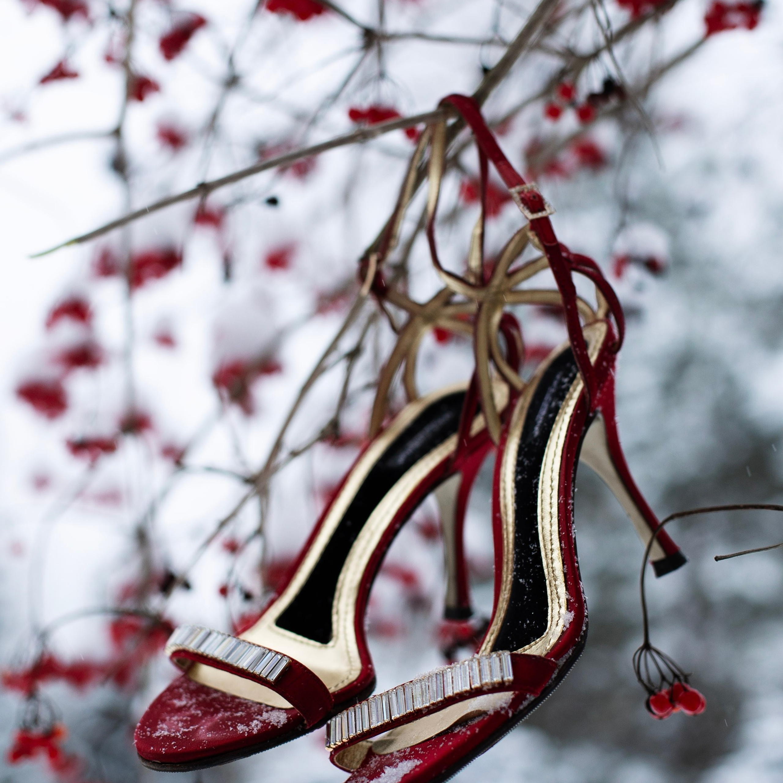 Предметы и цвет. Фотограф-портретист в Москве