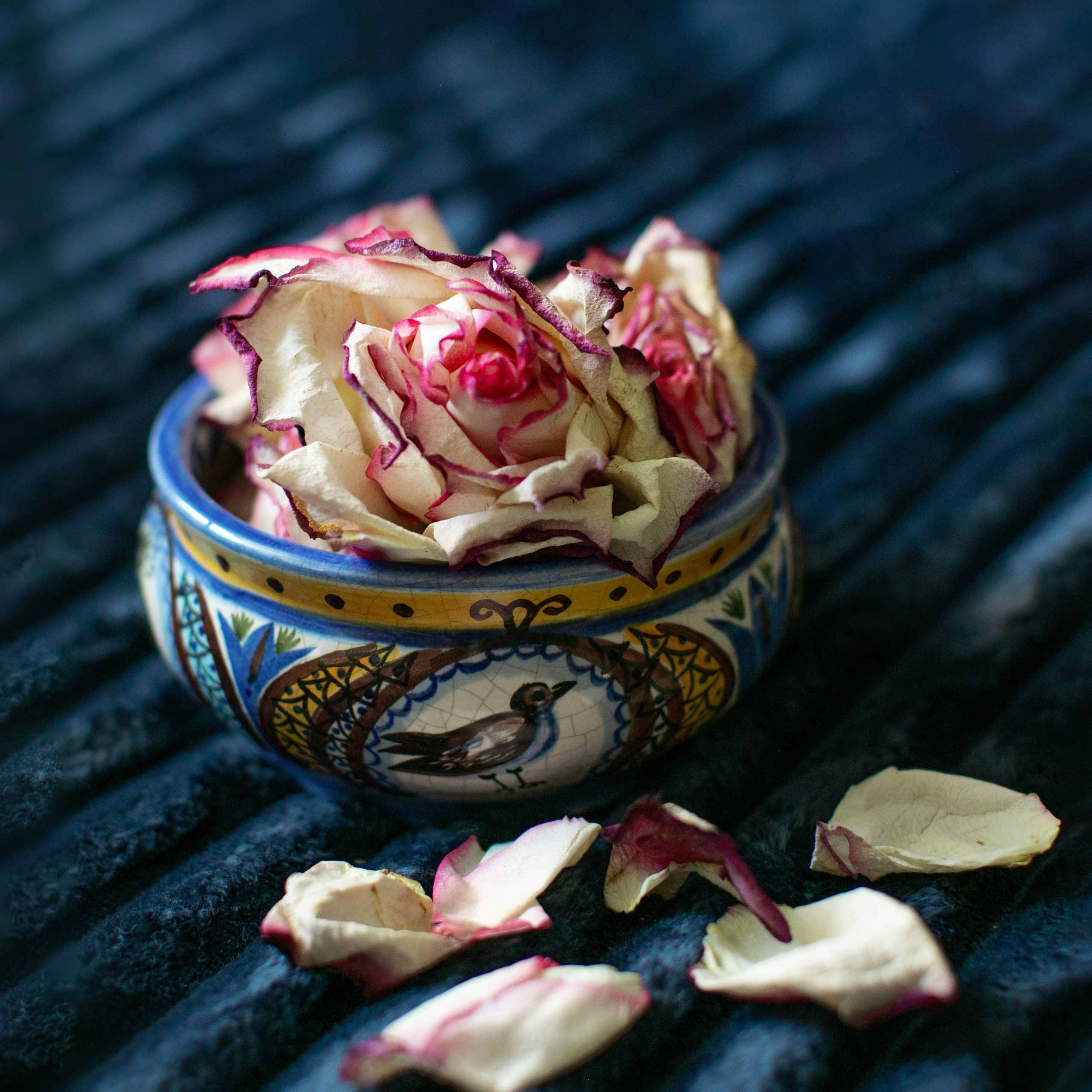 Предметы и цвет. Фотограф-портретист в Москве