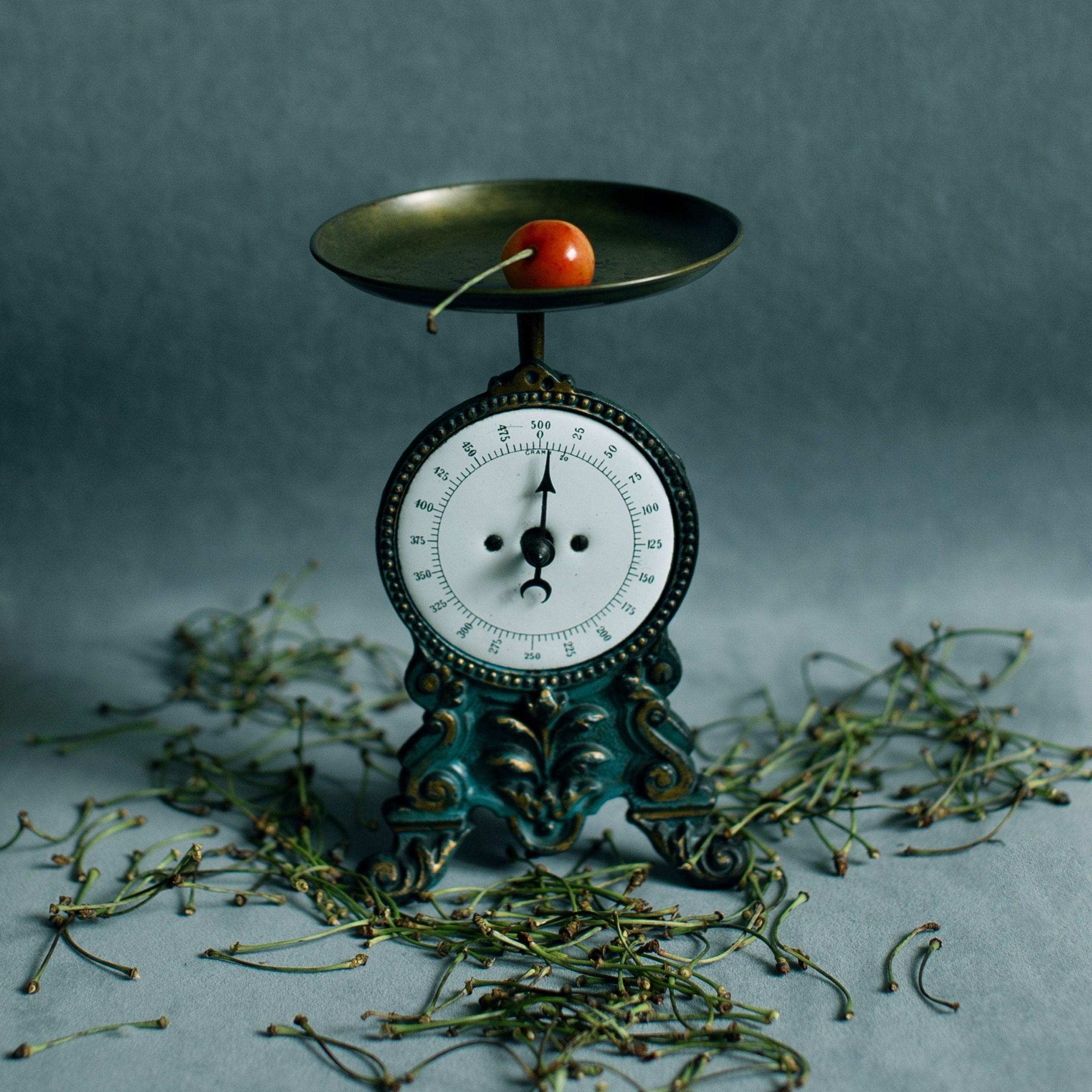 Предметы и цвет. Фотограф-портретист в Москве