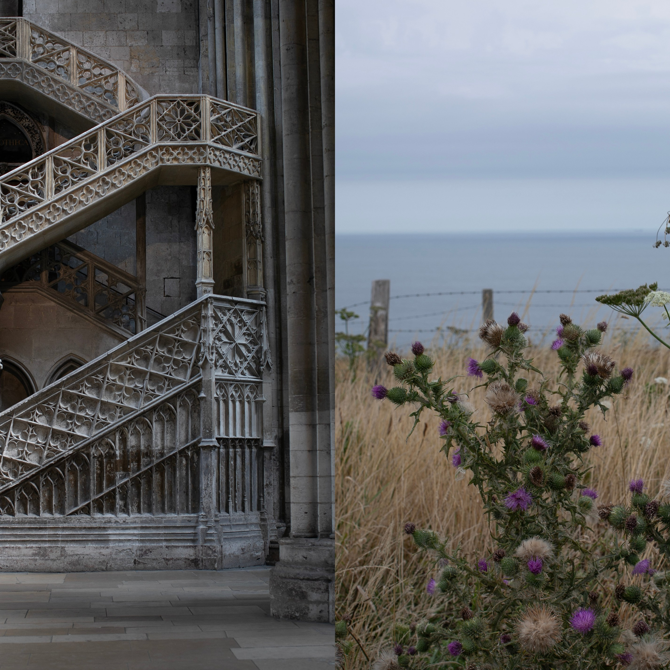 Франция'24: Париж-Жеверни-Руан-Этрета-Онфлер. Фотограф-портретист в Москве