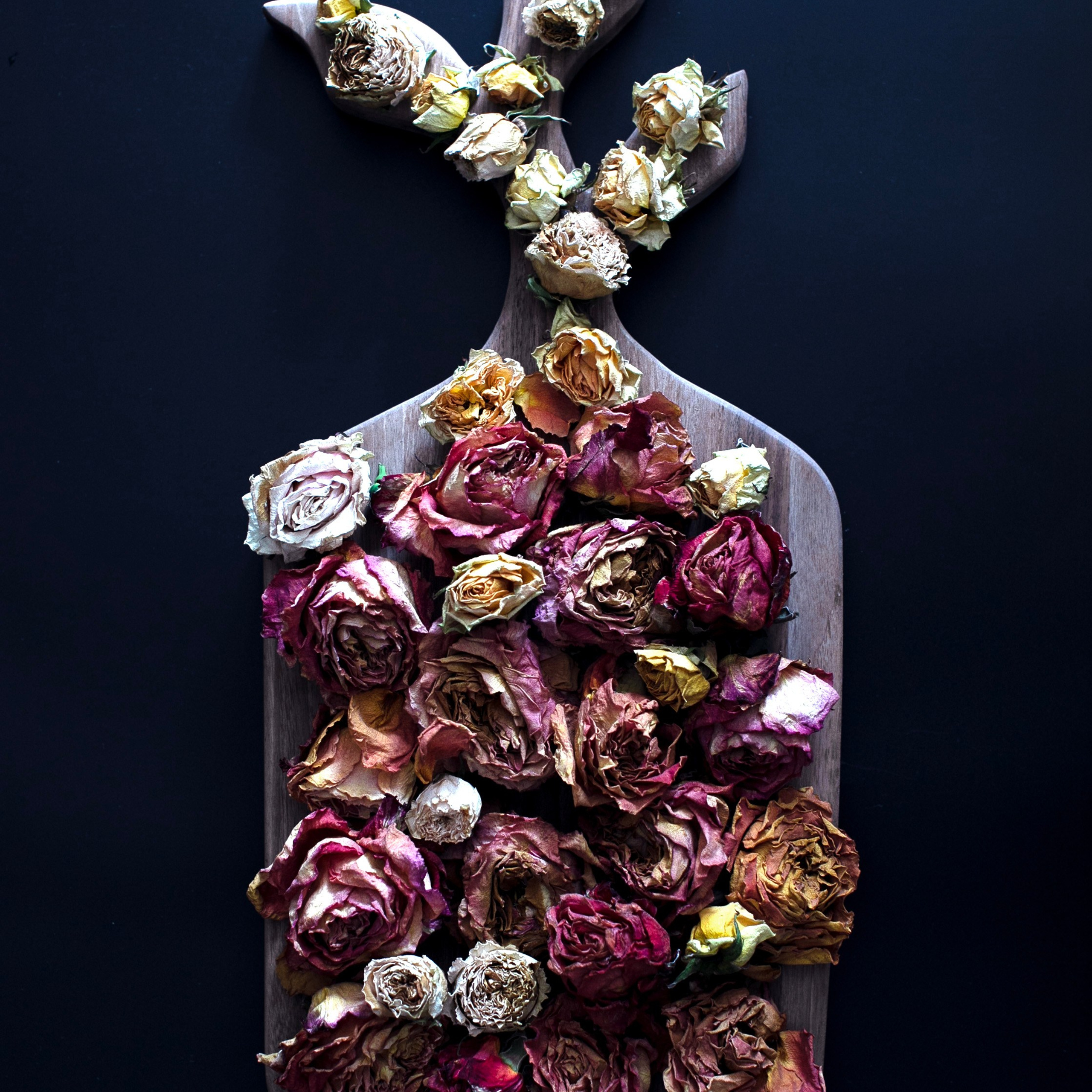 Предметы и цвет. Фотограф-портретист в Москве