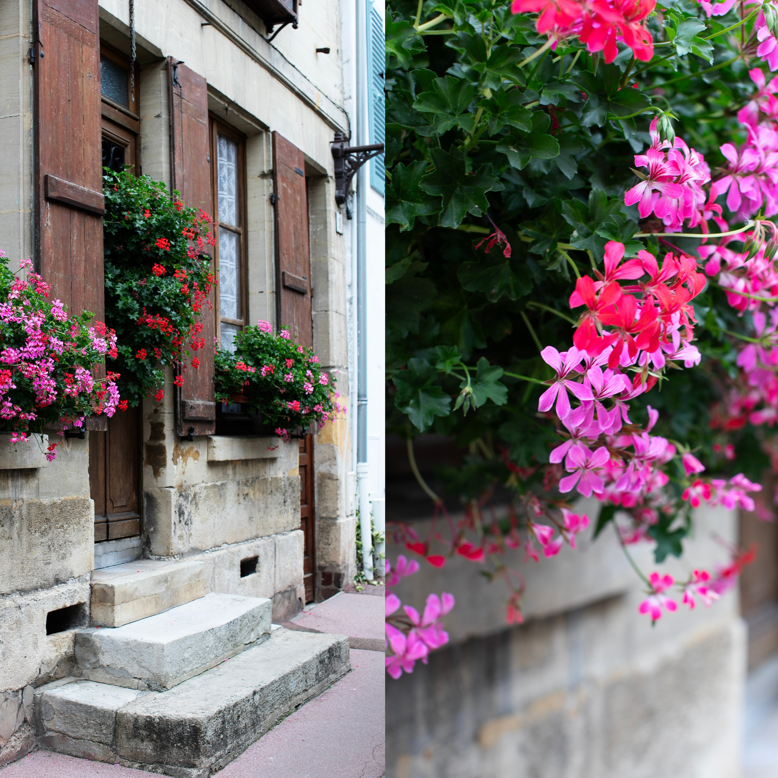 Франция'24: Париж-Жеверни-Руан-Этрета-Онфлер. Фотограф-портретист в Москве