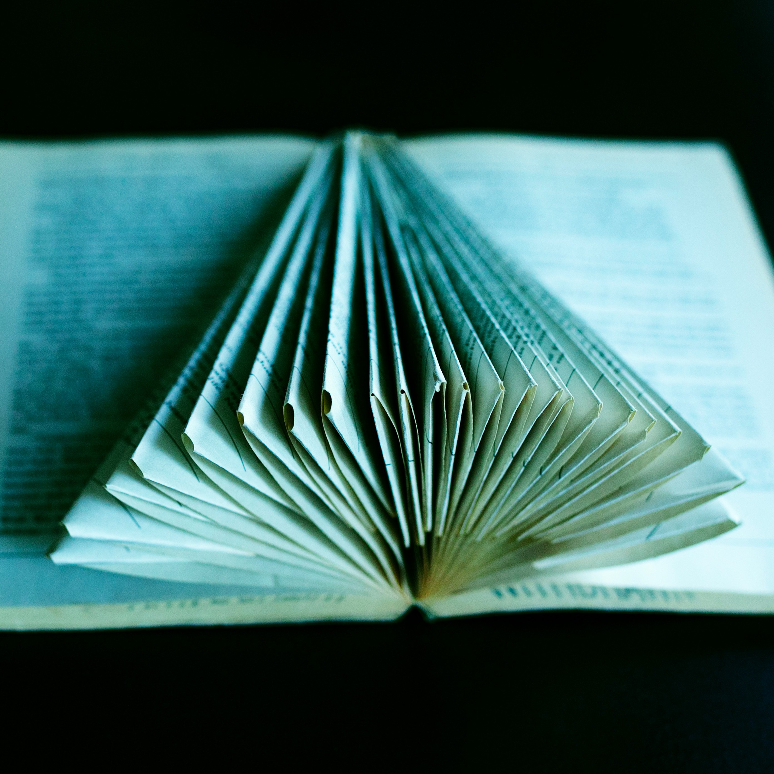 Предметы и цвет. Фотограф-портретист в Москве