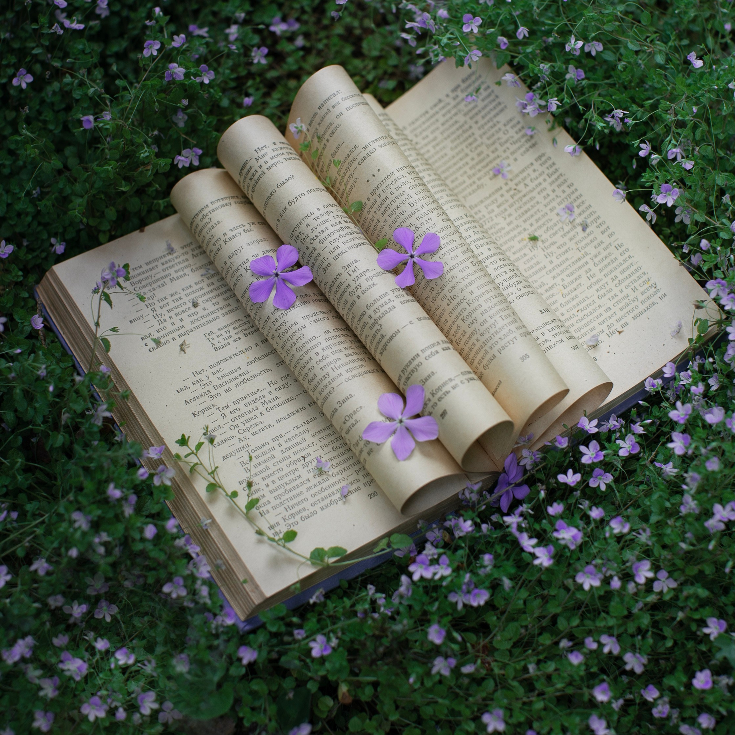 Предметы и цвет. Фотограф-портретист в Москве