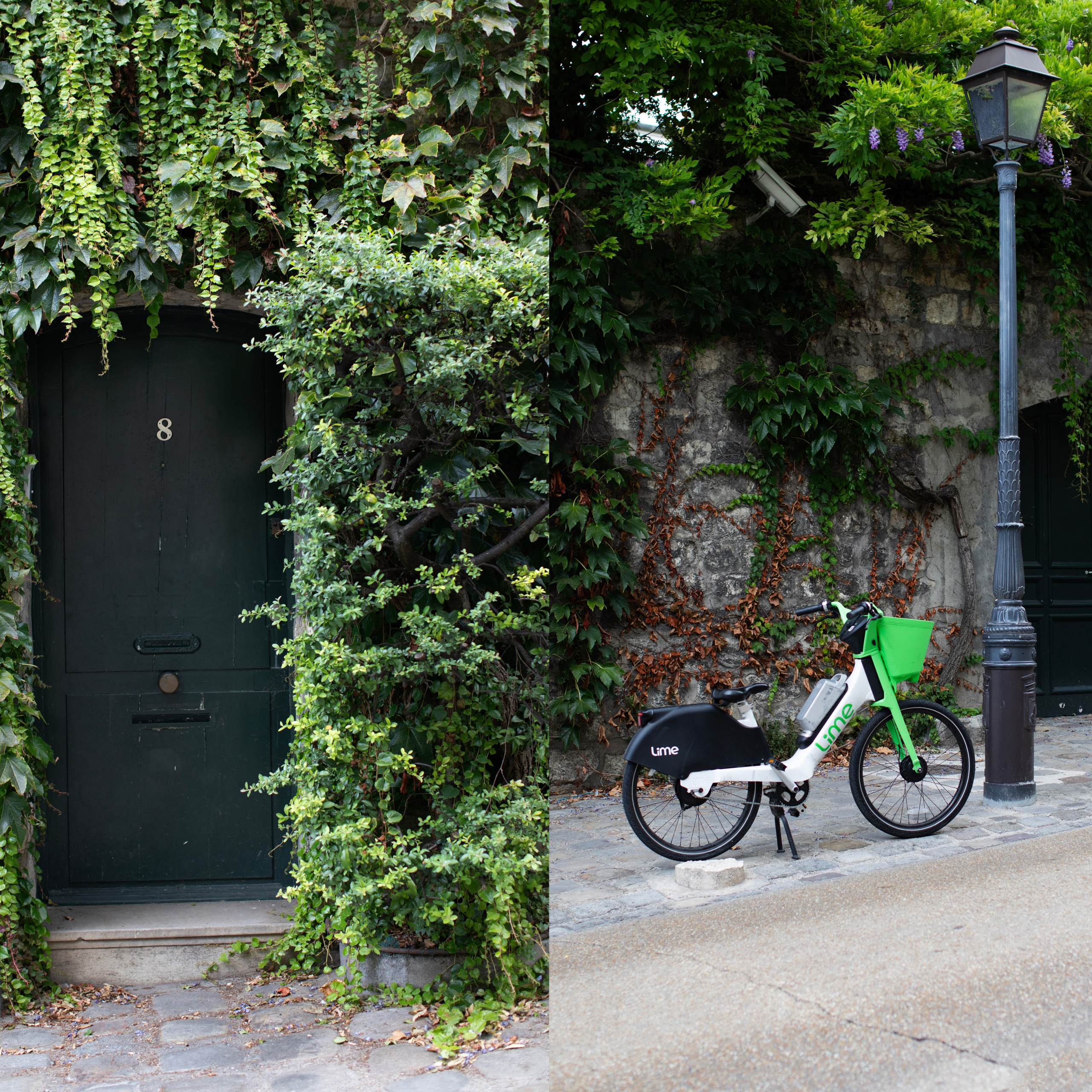 Франция'24: Париж-Жеверни-Руан-Этрета-Онфлер. Фотограф-портретист в Москве