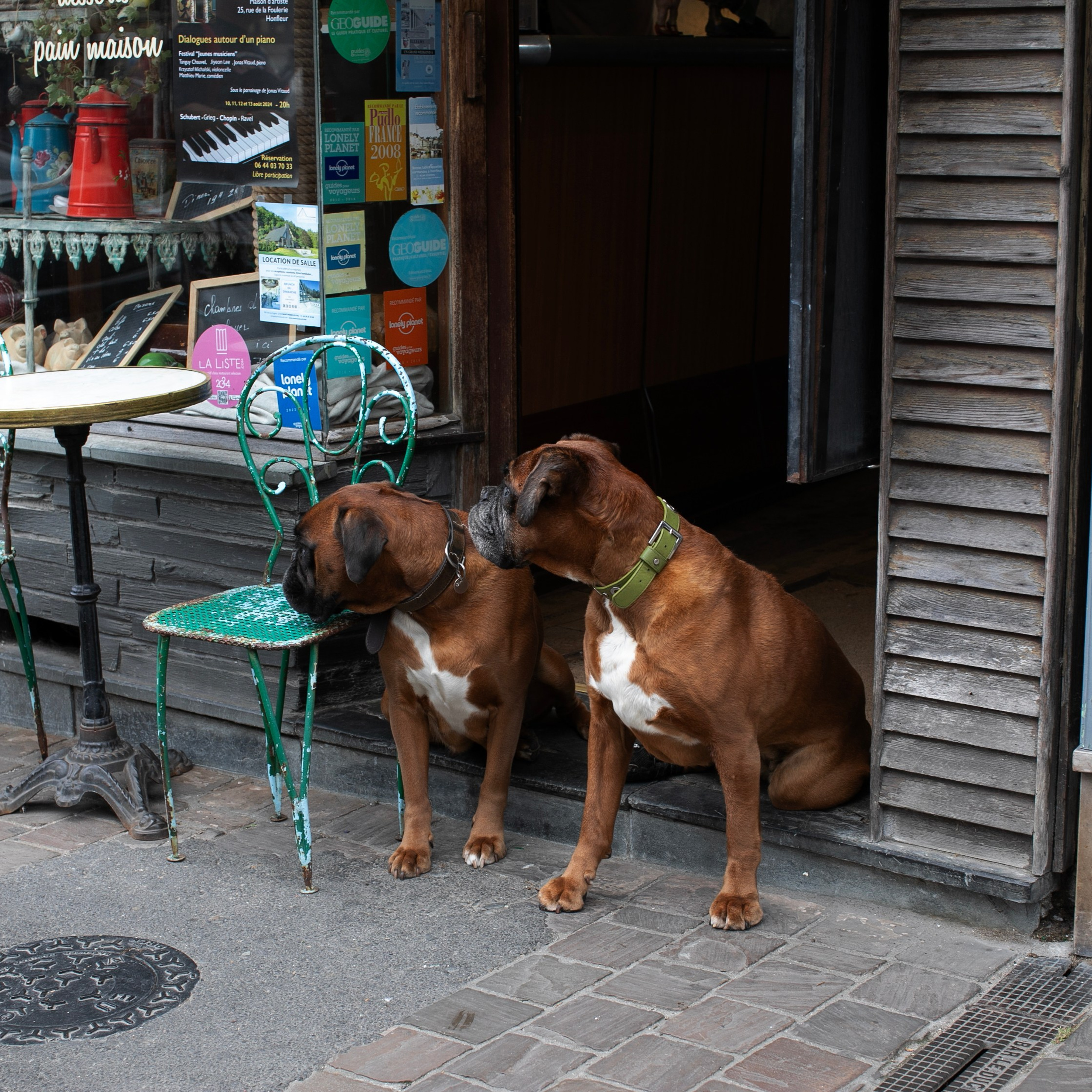 Франция'24: Париж-Жеверни-Руан-Этрета-Онфлер. Фотограф-портретист в Москве