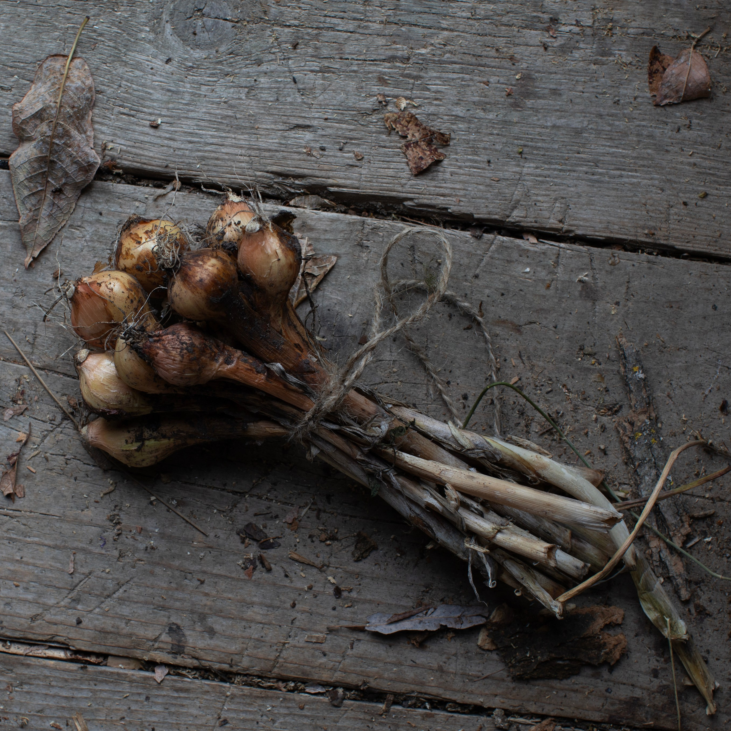 Предметы и цвет. Фотограф-портретист в Москве