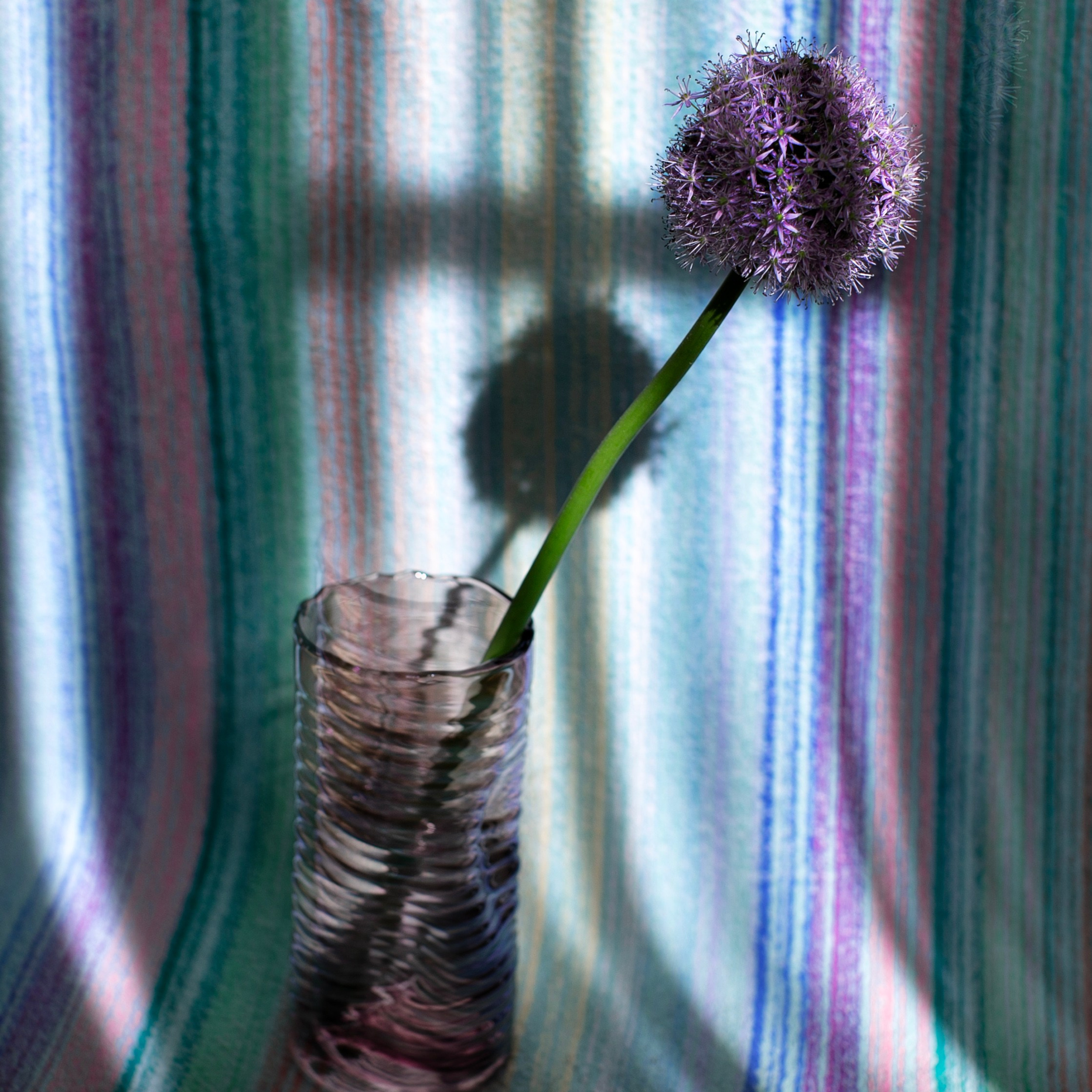 Предметы и цвет. Фотограф-портретист в Москве