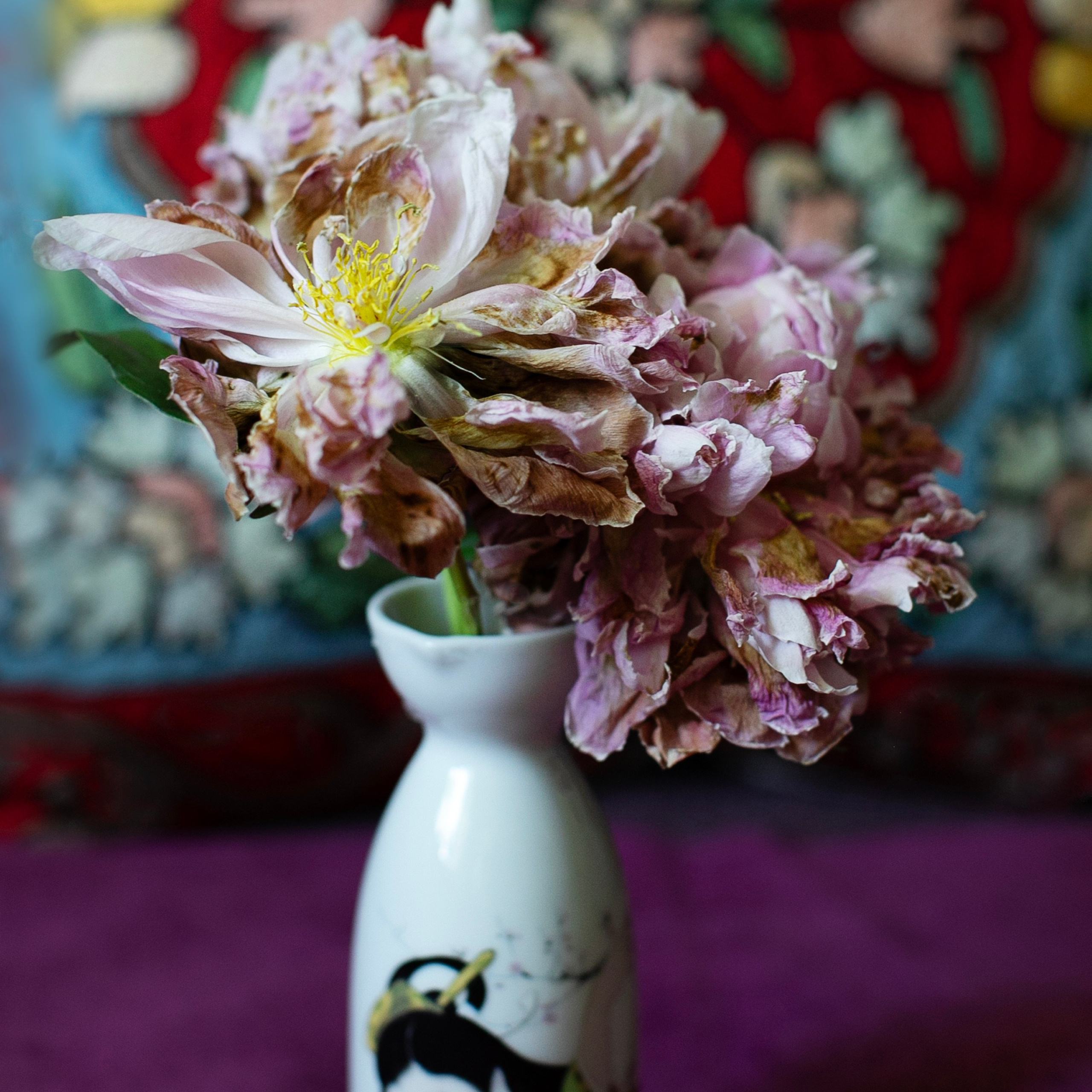 Предметы и цвет. Фотограф-портретист в Москве