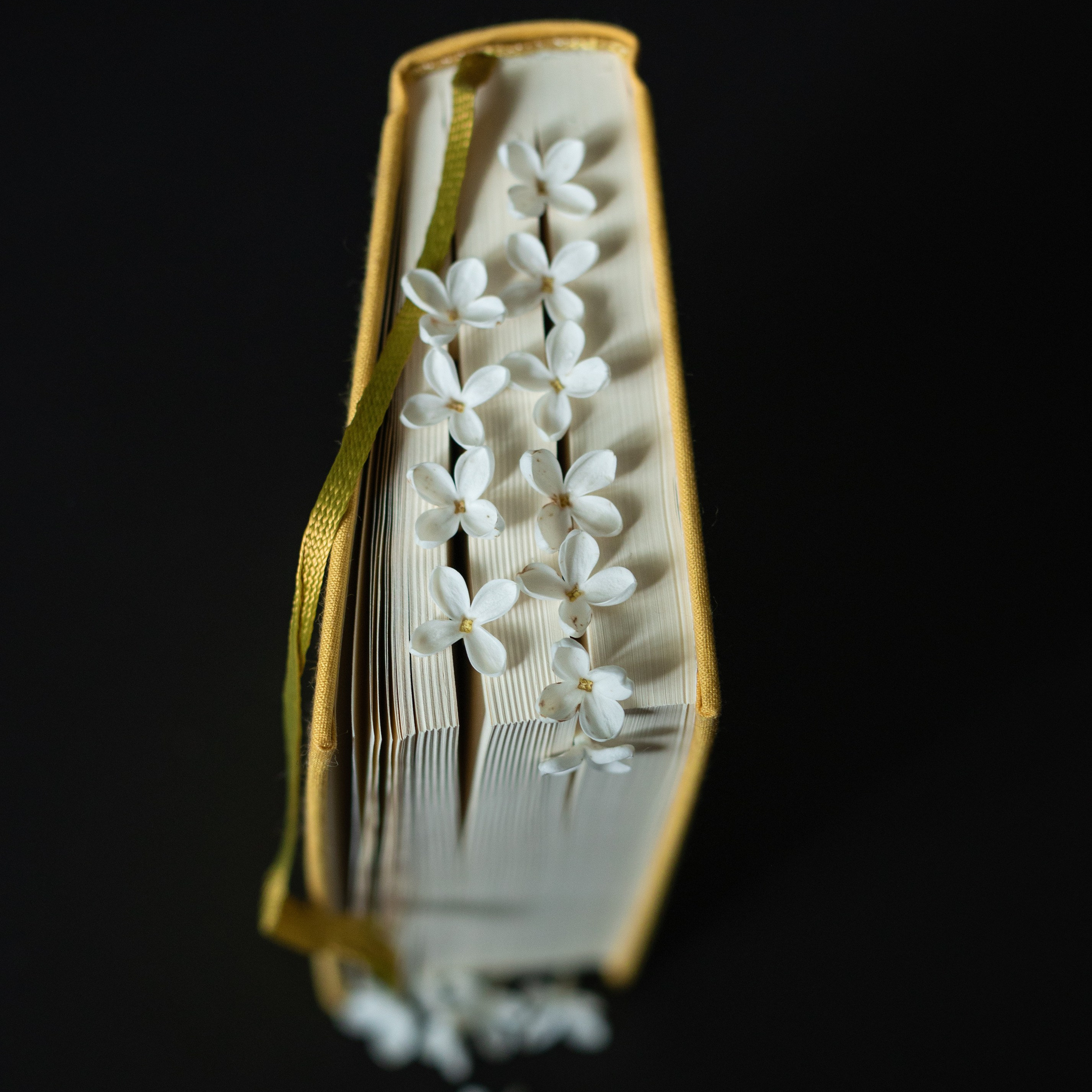 Предметы и цвет. Фотограф-портретист в Москве