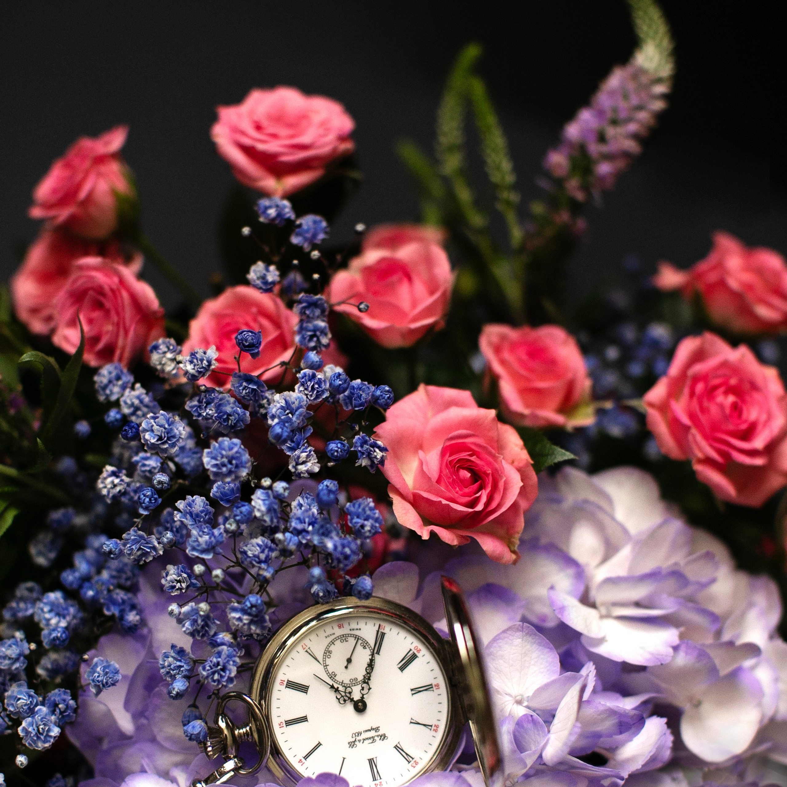 Предметы и цвет. Фотограф-портретист в Москве