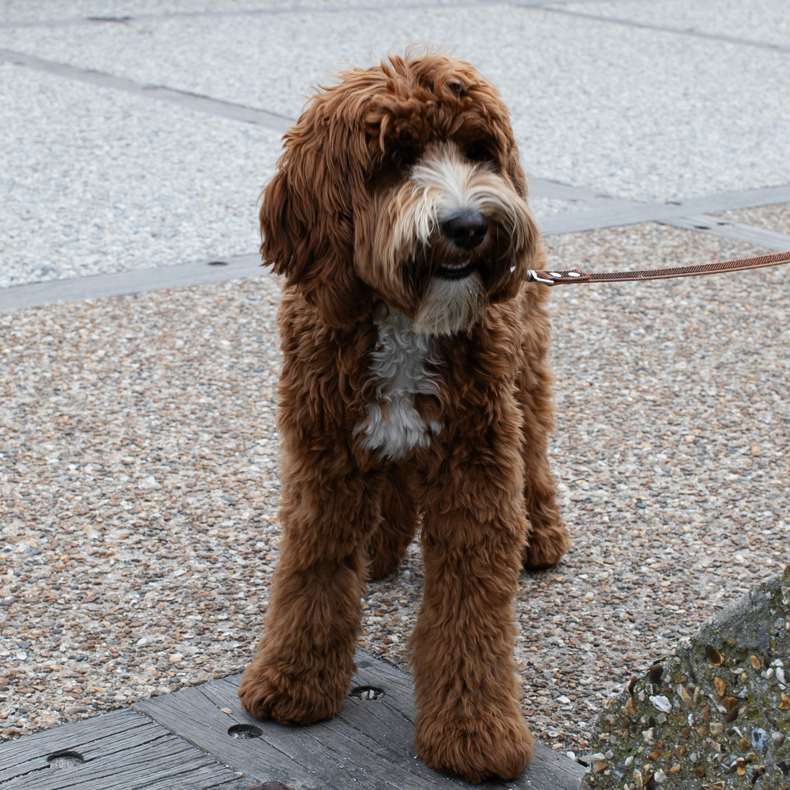 Франция'24: Париж-Жеверни-Руан-Этрета-Онфлер. Фотограф-портретист в Москве