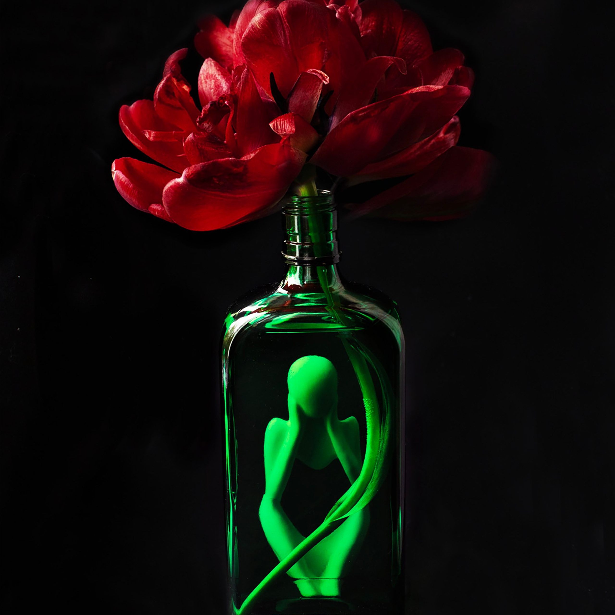 Предметы и цвет. Фотограф-портретист в Москве