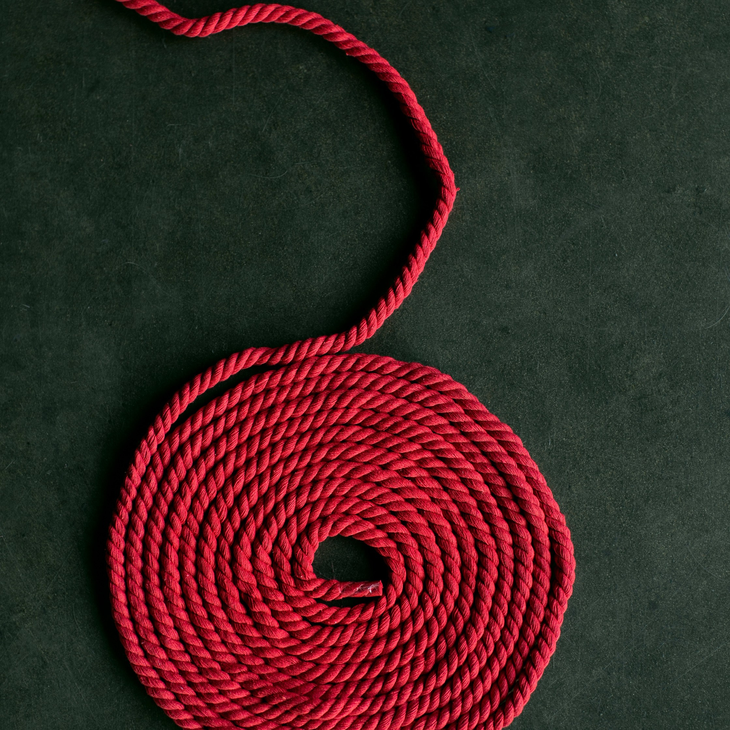 Предметы и цвет. Фотограф-портретист в Москве