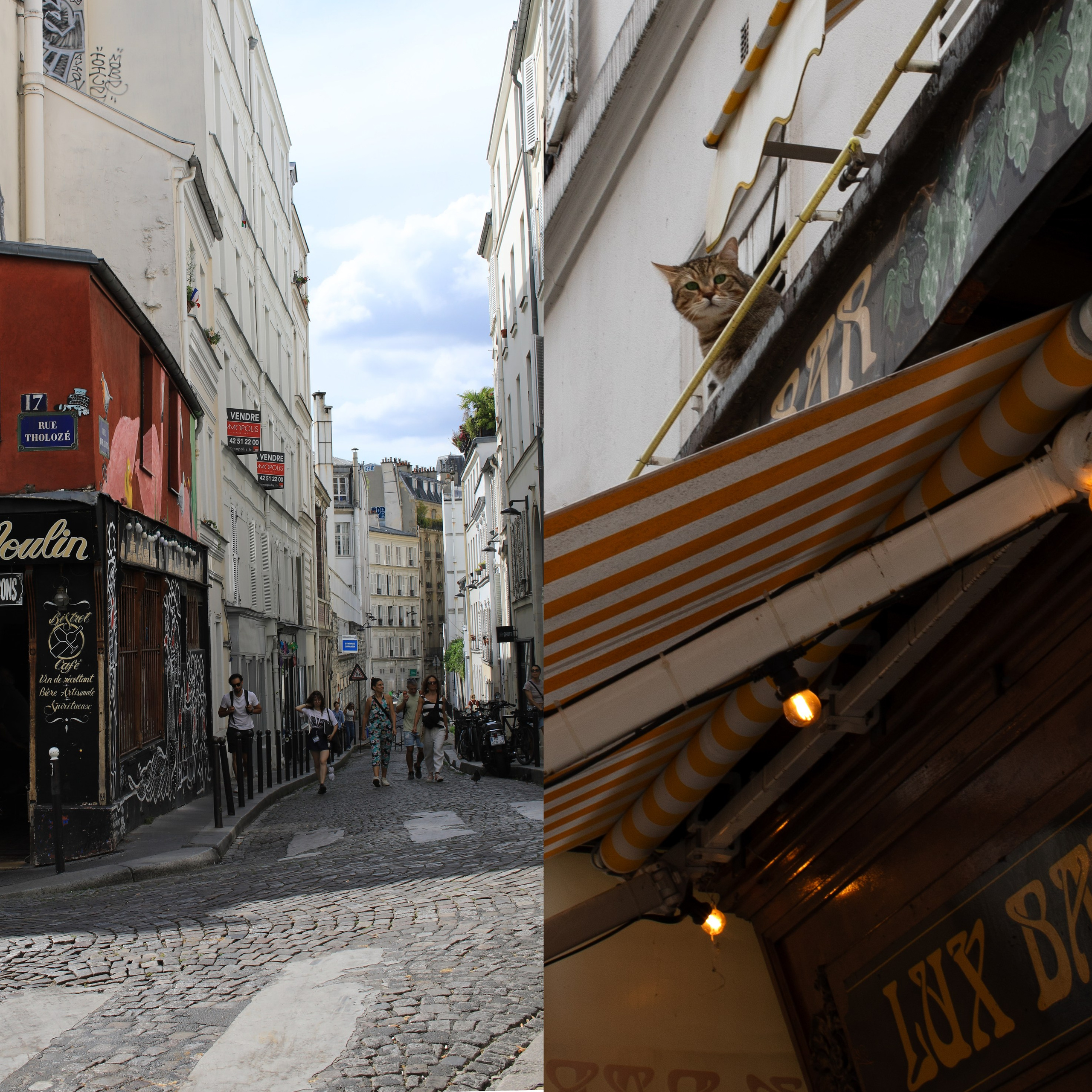 Франция'24: Париж-Жеверни-Руан-Этрета-Онфлер. Фотограф-портретист в Москве