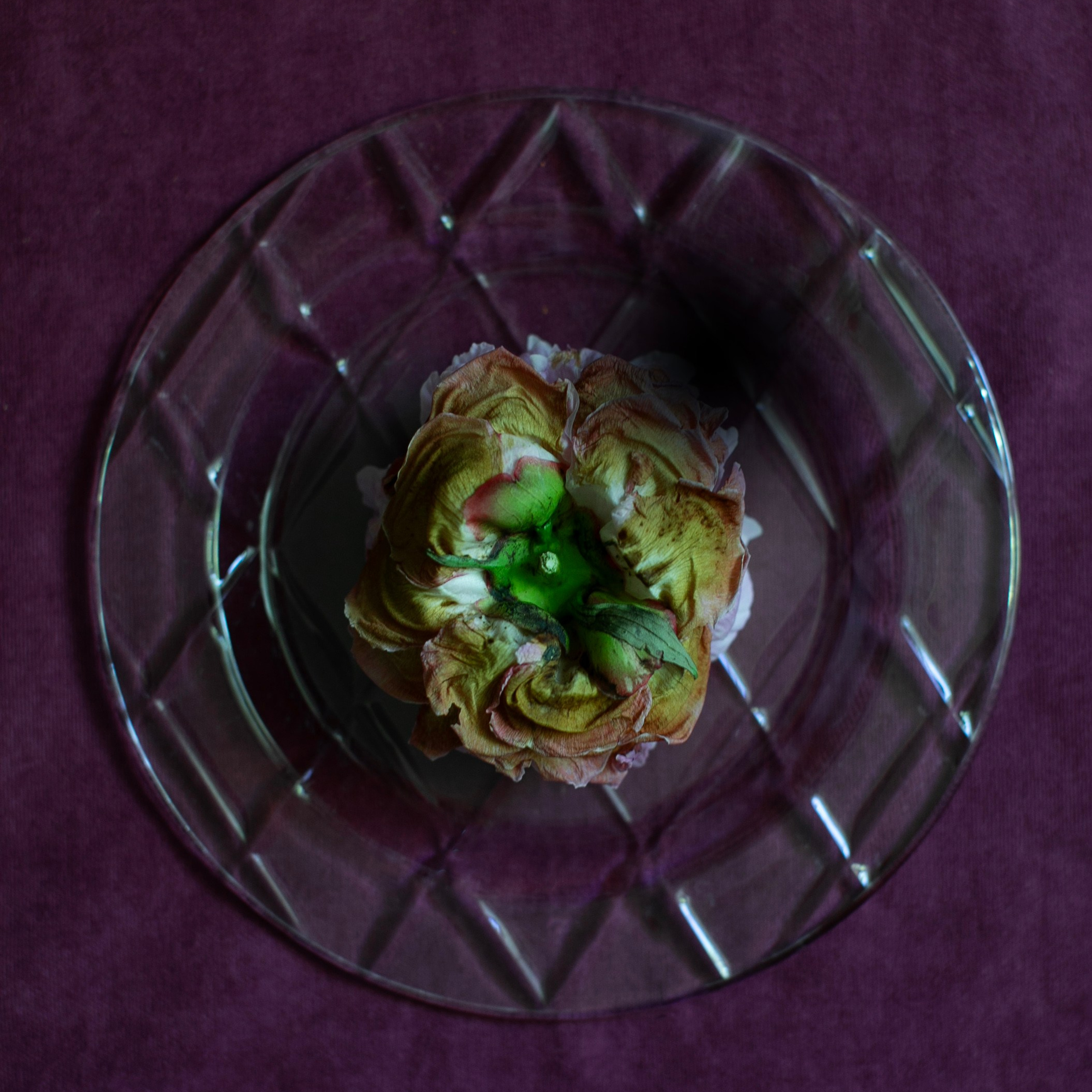 Предметы и цвет. Фотограф-портретист в Москве