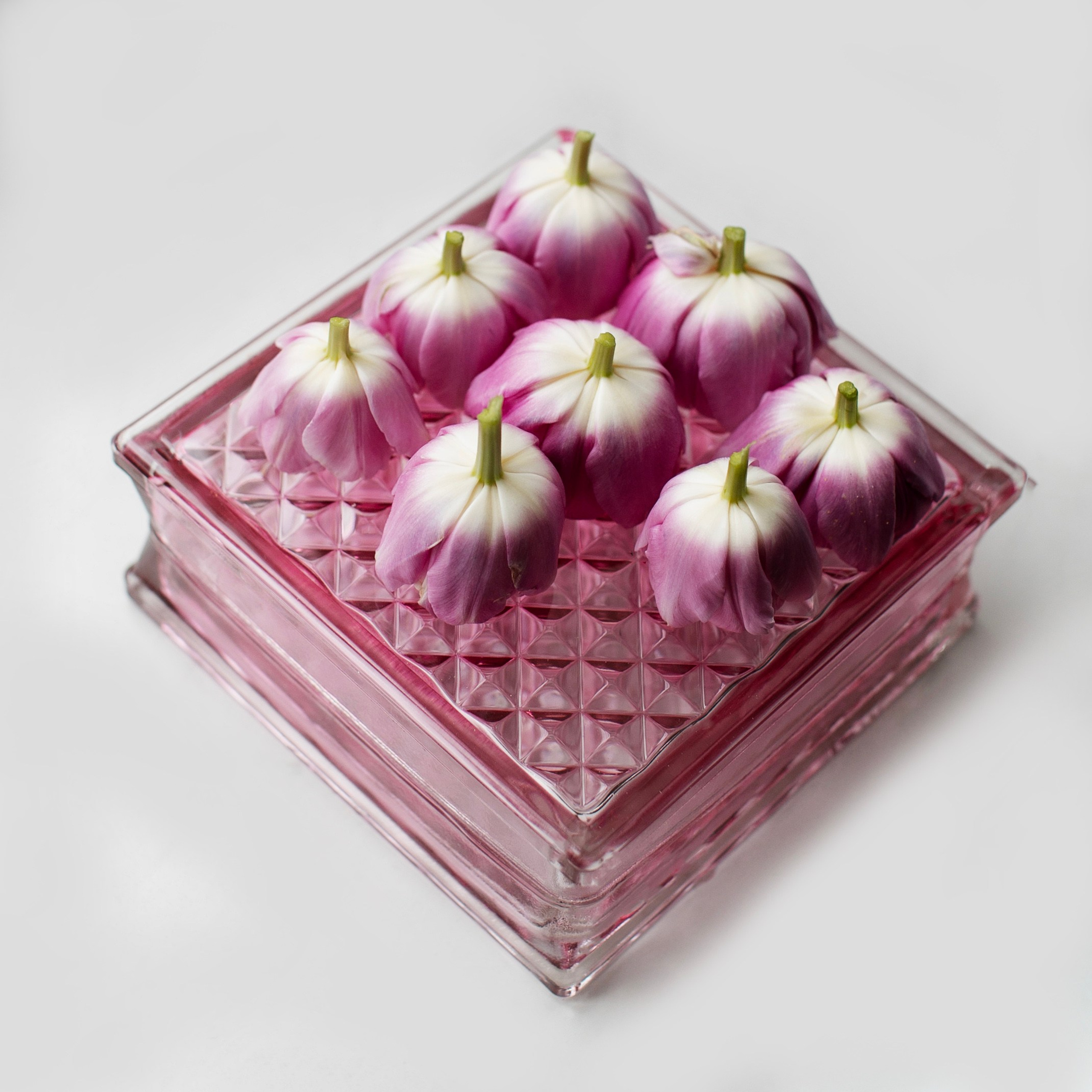 Предметы и цвет. Фотограф-портретист в Москве