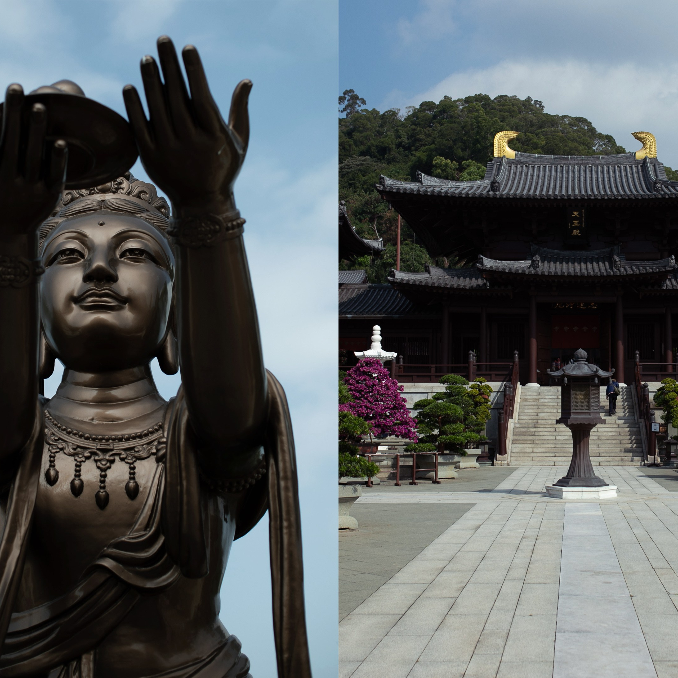 Гонконг'24. Фотограф-портретист в Москве