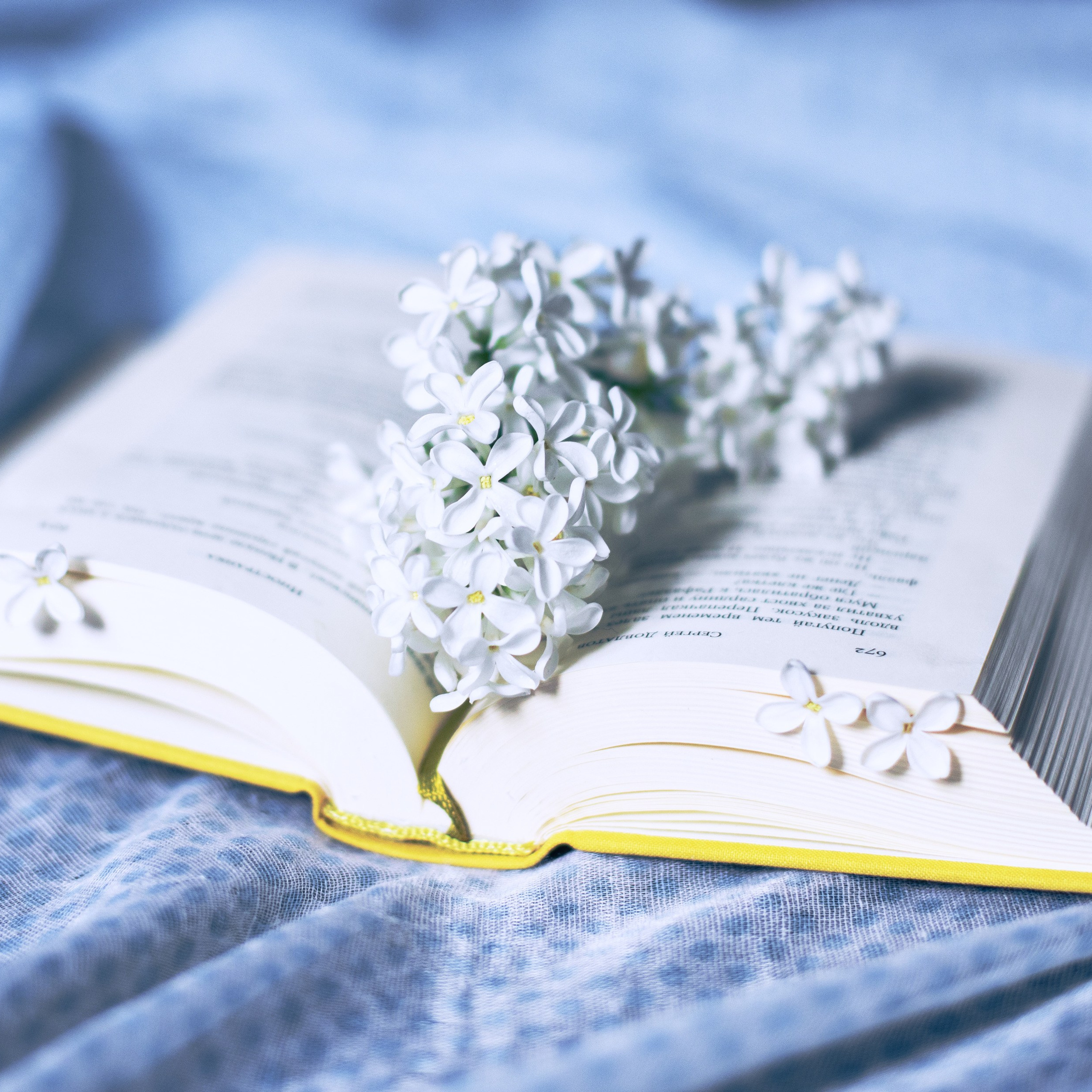 Предметы и цвет. Фотограф-портретист в Москве