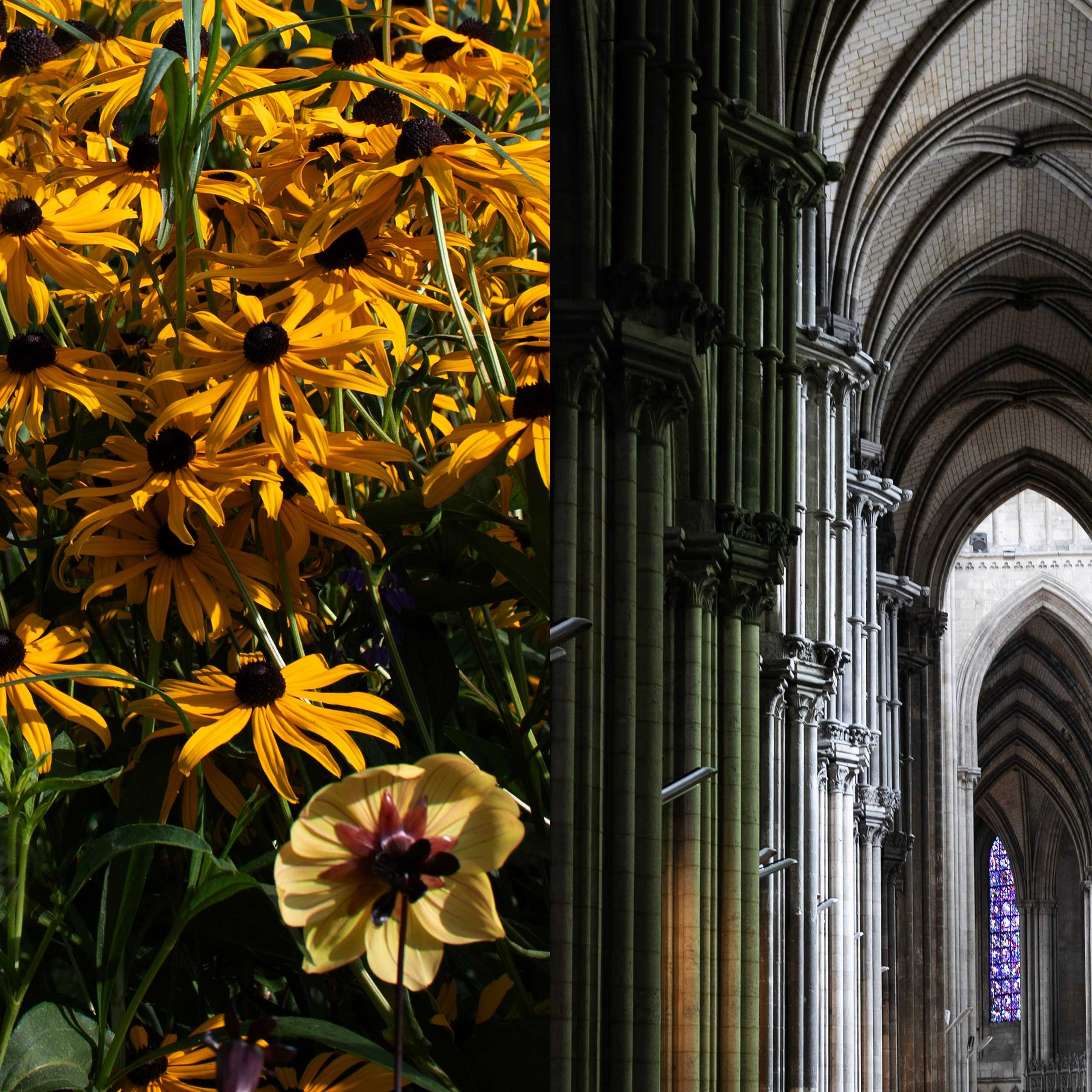 Франция'24: Париж-Жеверни-Руан-Этрета-Онфлер. Фотограф-портретист в Москве