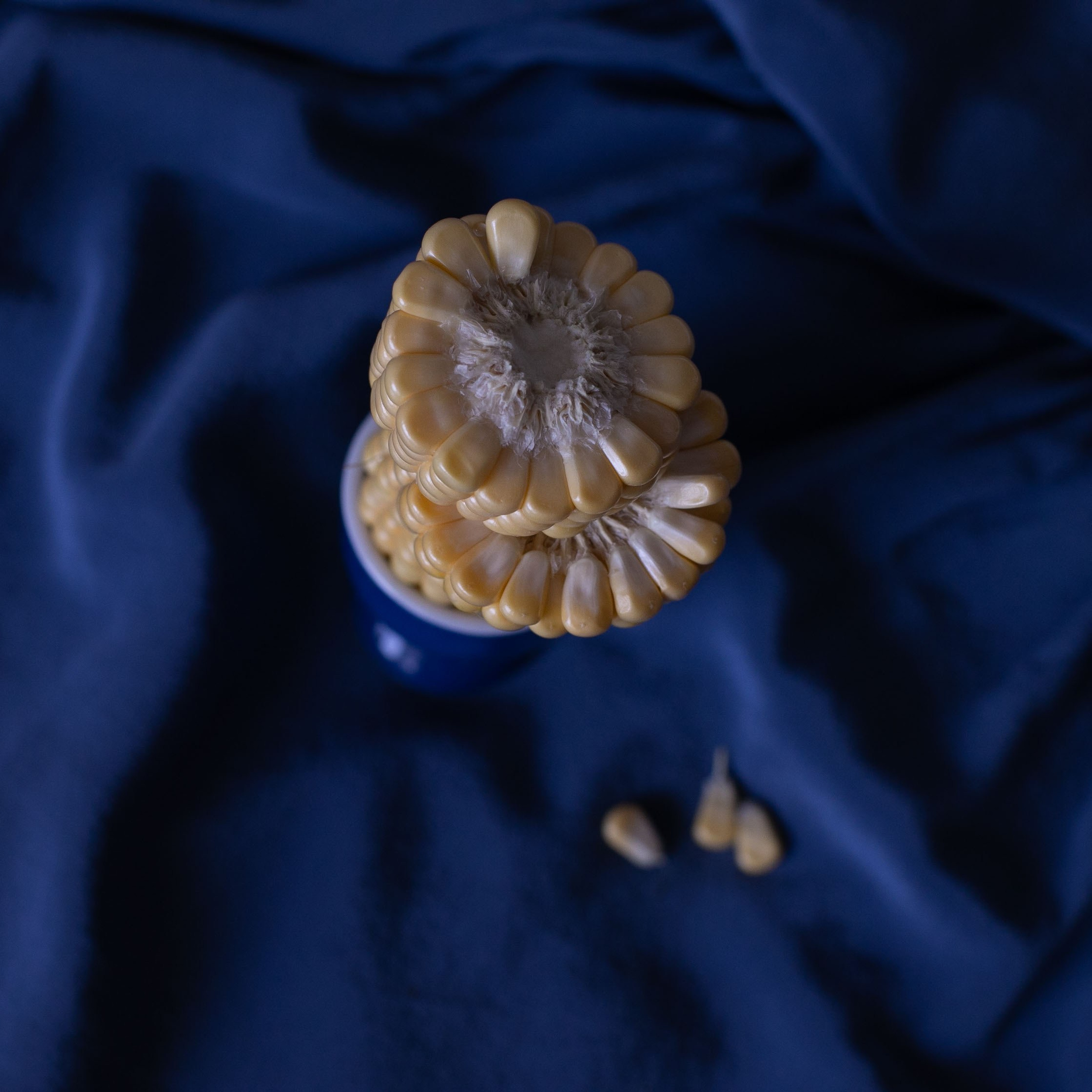 Предметы и цвет. Фотограф-портретист в Москве