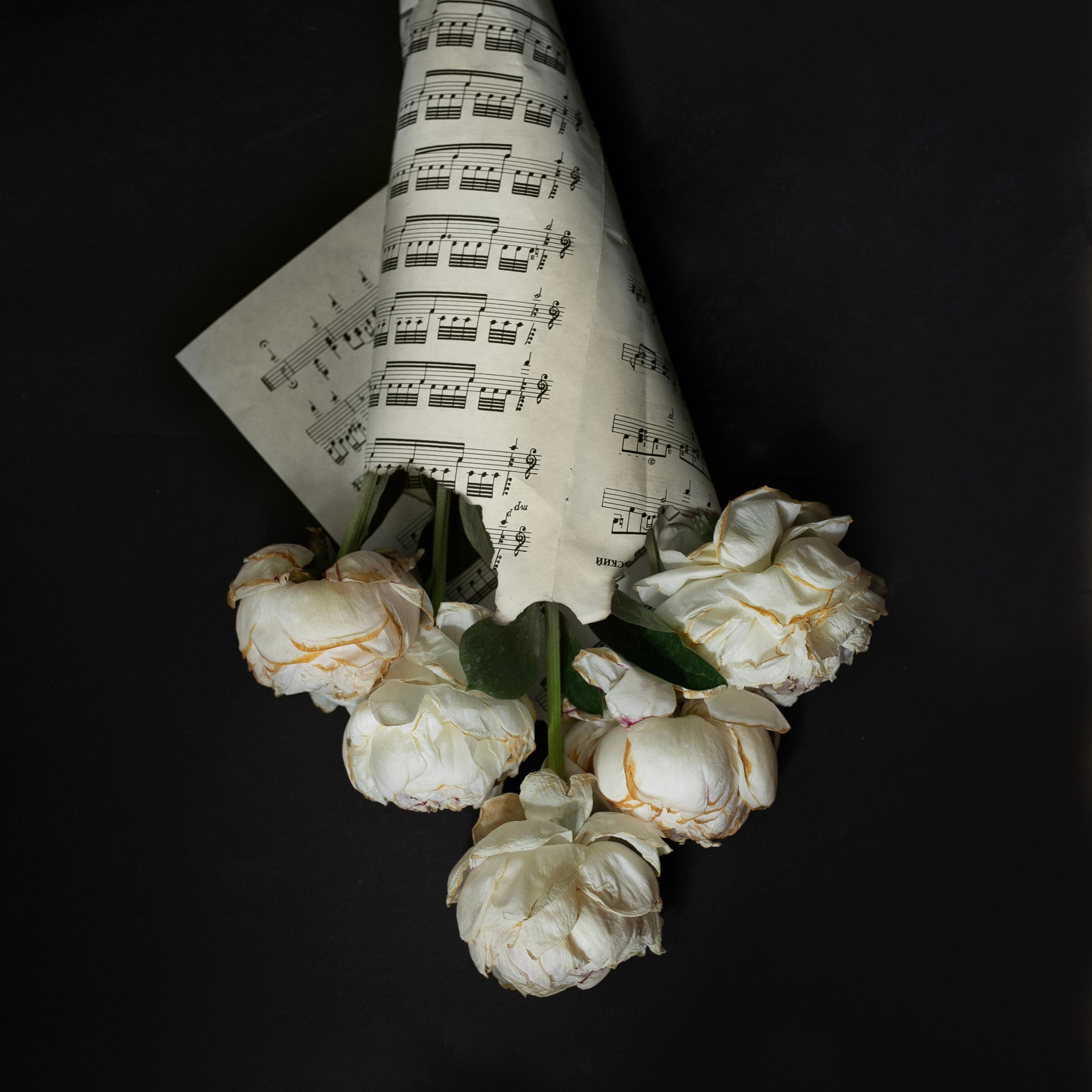 Предметы и цвет. Фотограф-портретист в Москве