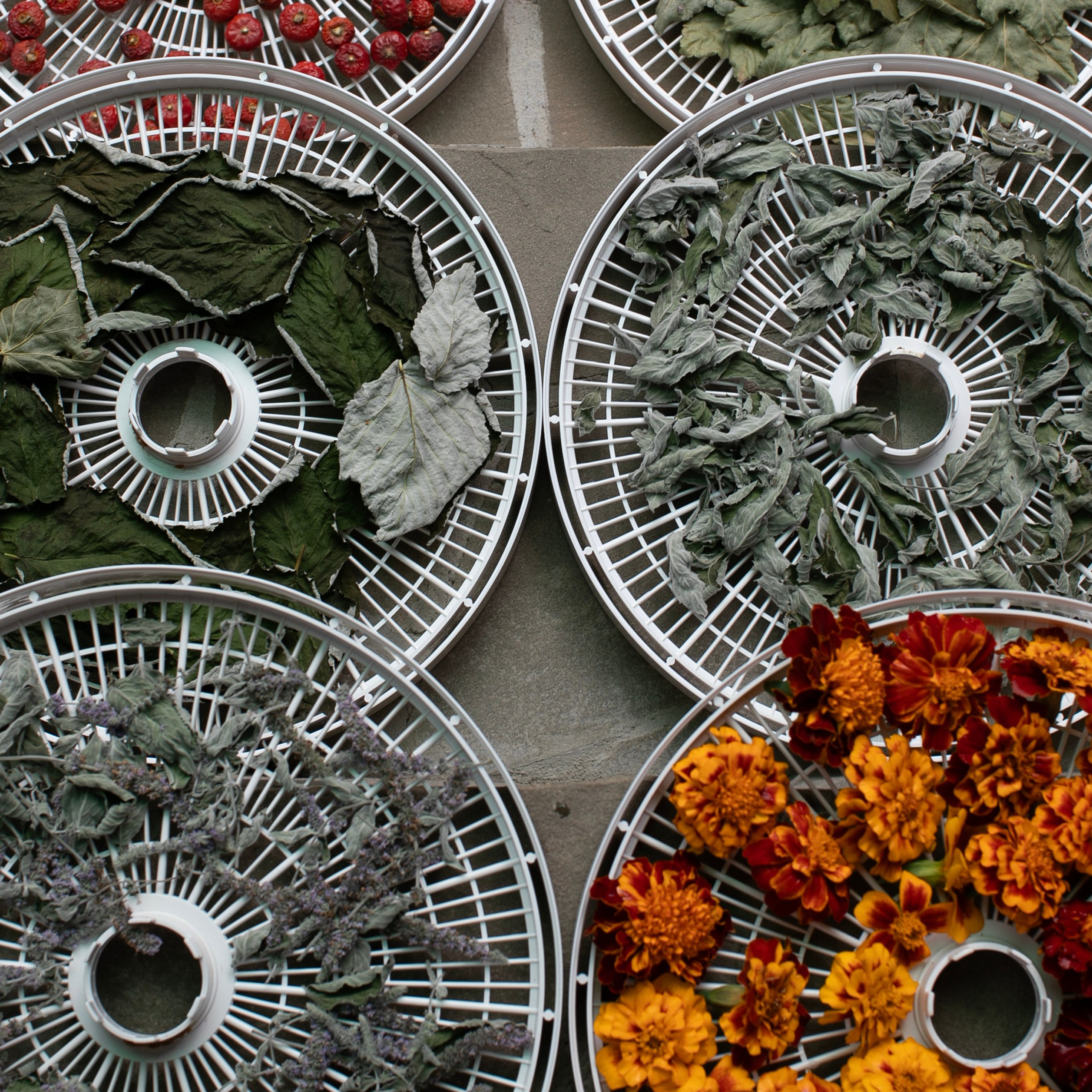 Предметы и цвет. Фотограф-портретист в Москве