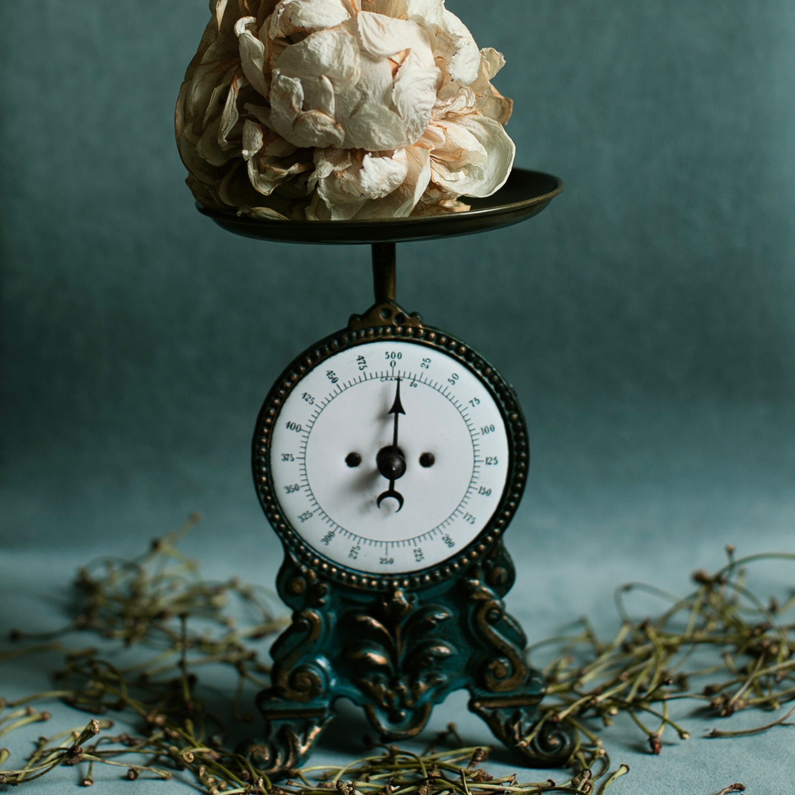 Предметы и цвет. Фотограф-портретист в Москве