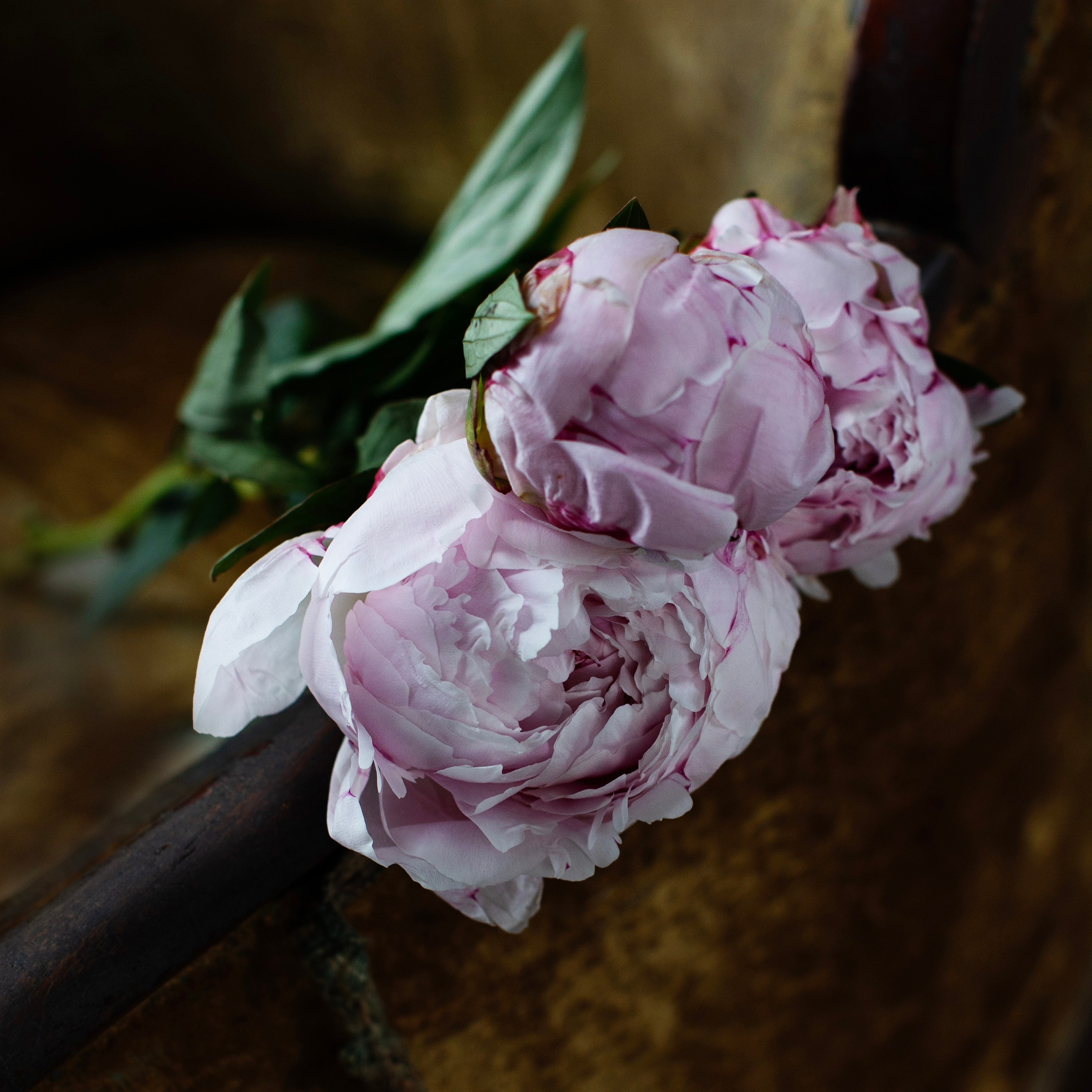 Предметы и цвет. Фотограф-портретист в Москве