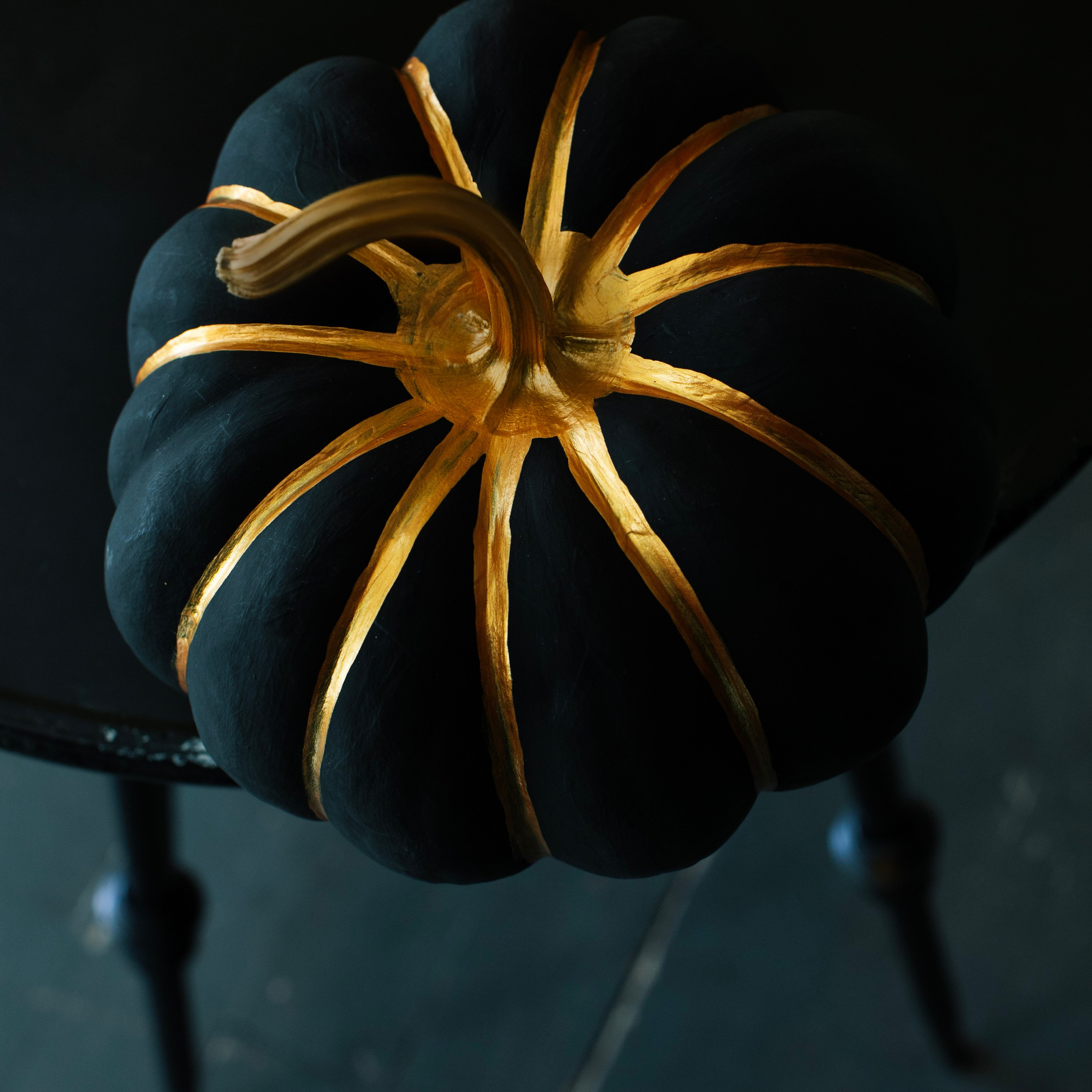 Предметы и цвет. Фотограф-портретист в Москве