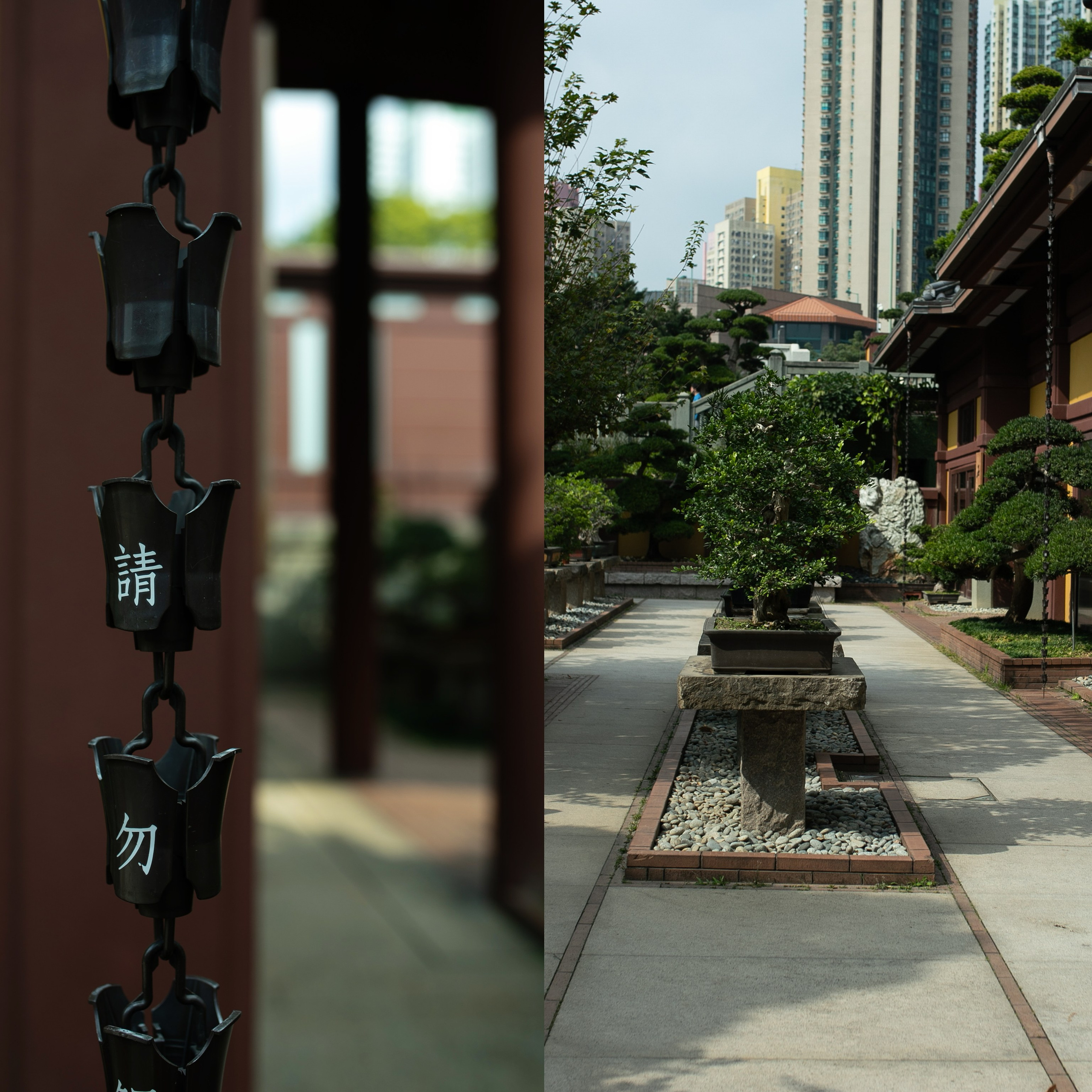 Гонконг'24. Фотограф-портретист в Москве