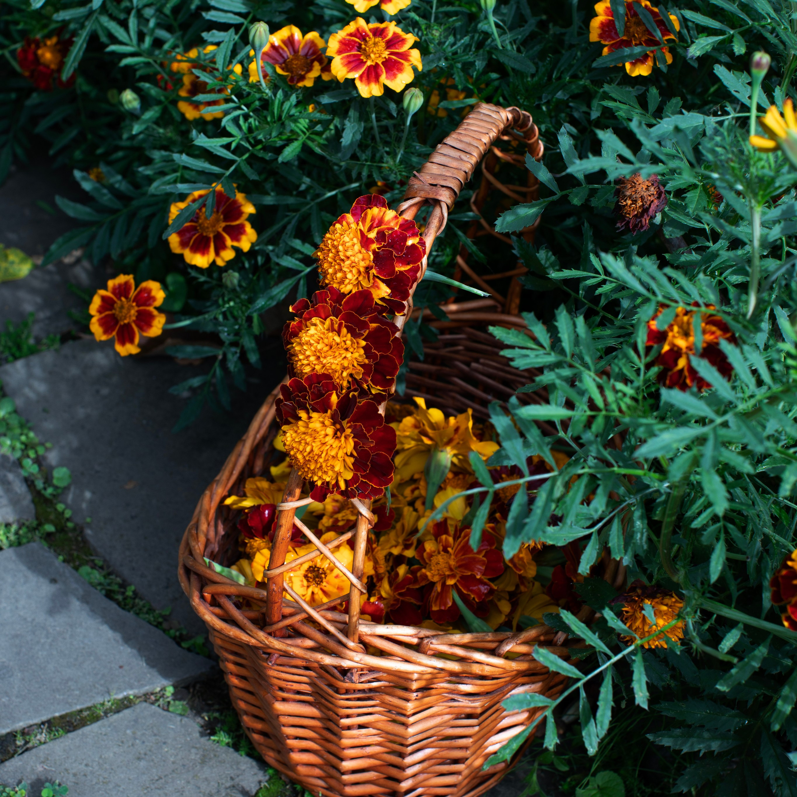 Предметы и цвет. Фотограф-портретист в Москве
