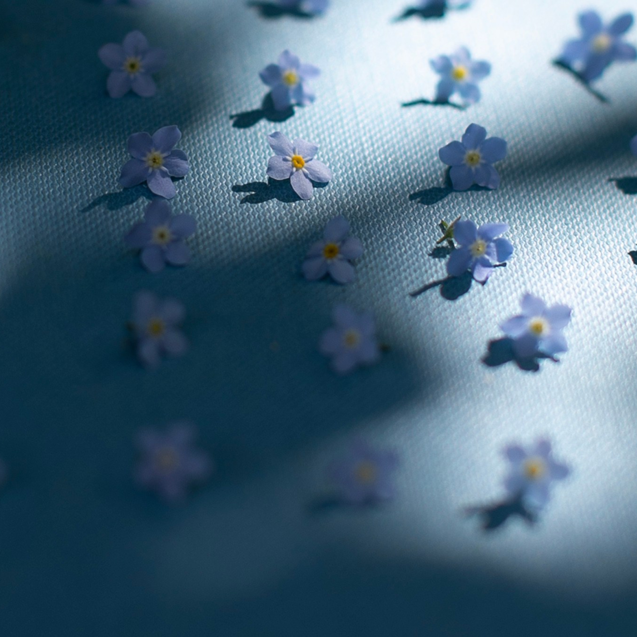 Предметы и цвет. Фотограф-портретист в Москве